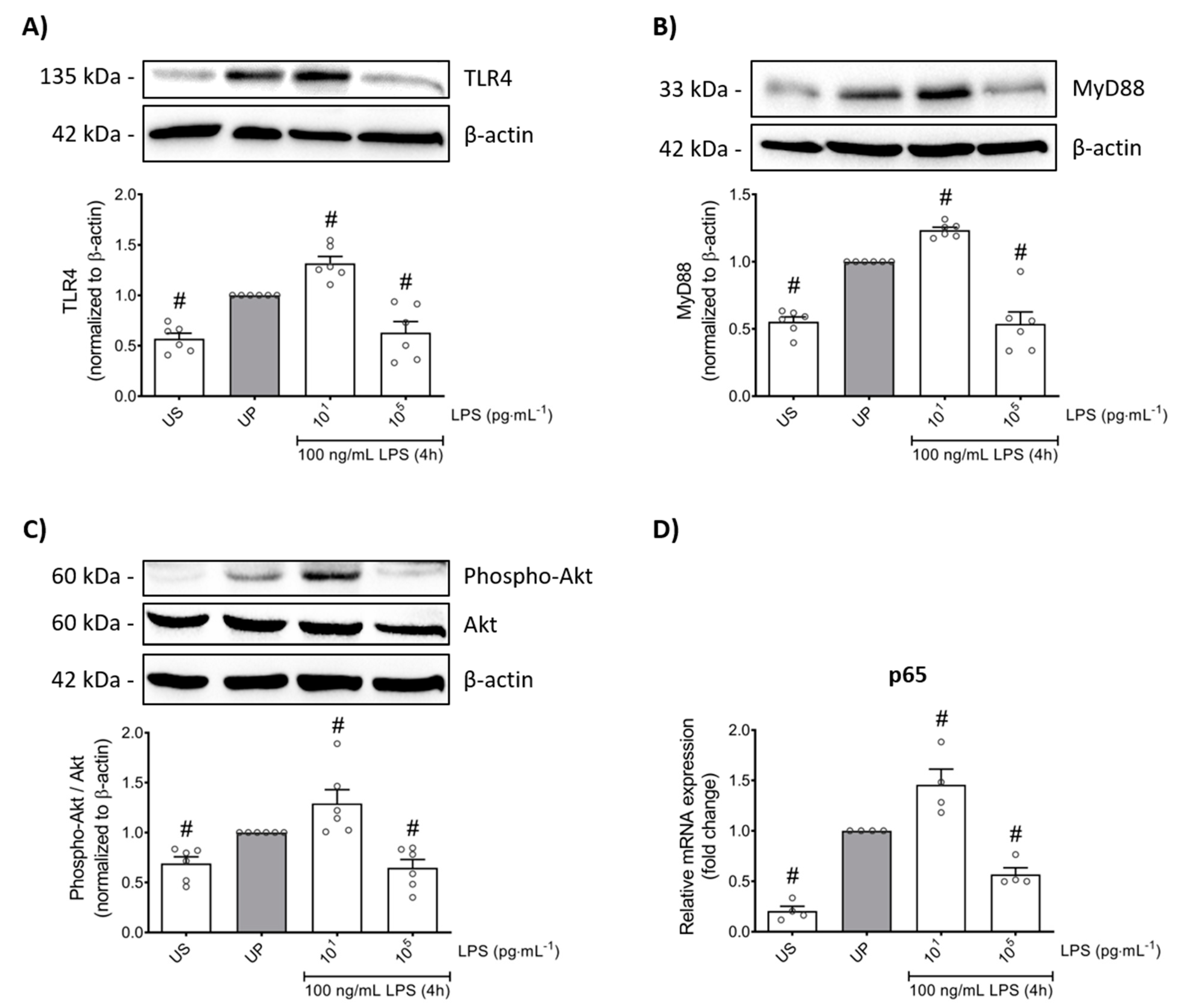 Ijms 22 09803 g004 550