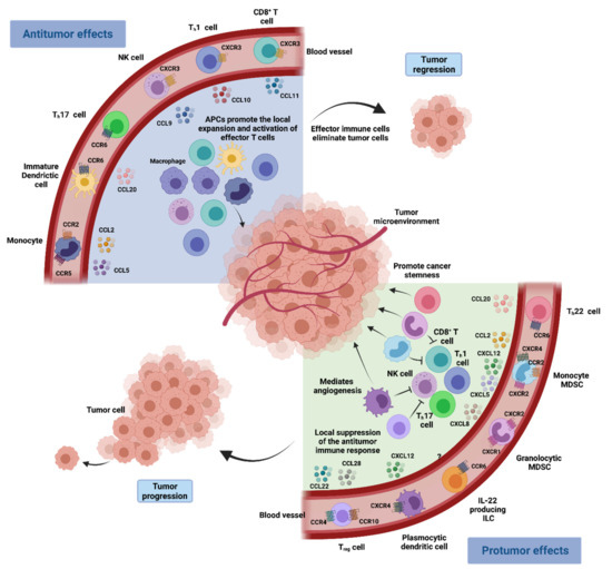 Chemokine-Directed Tumor Microenvironment Modulation in Cancer ...