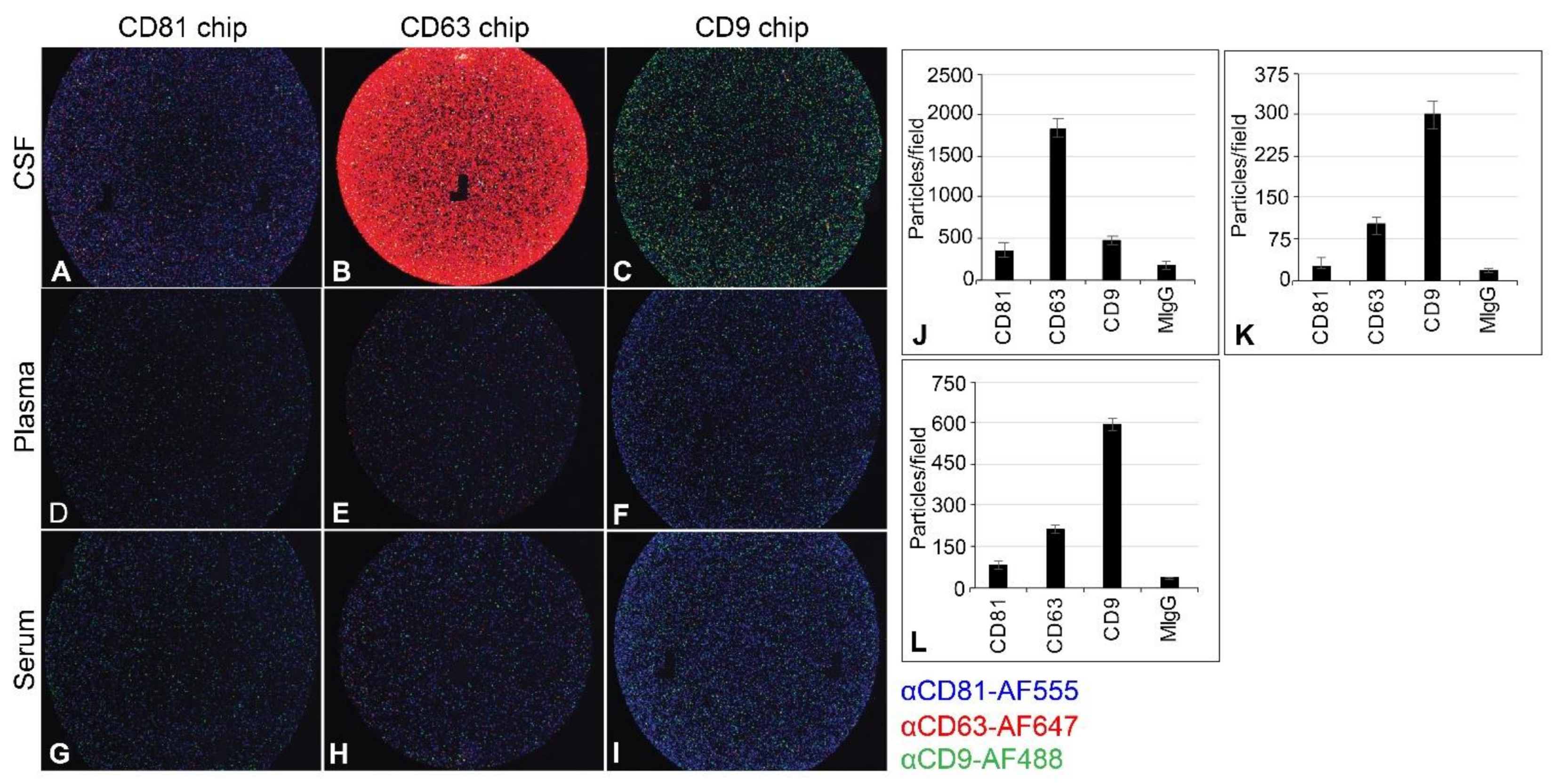 Ijms 22 09809 g005 550
