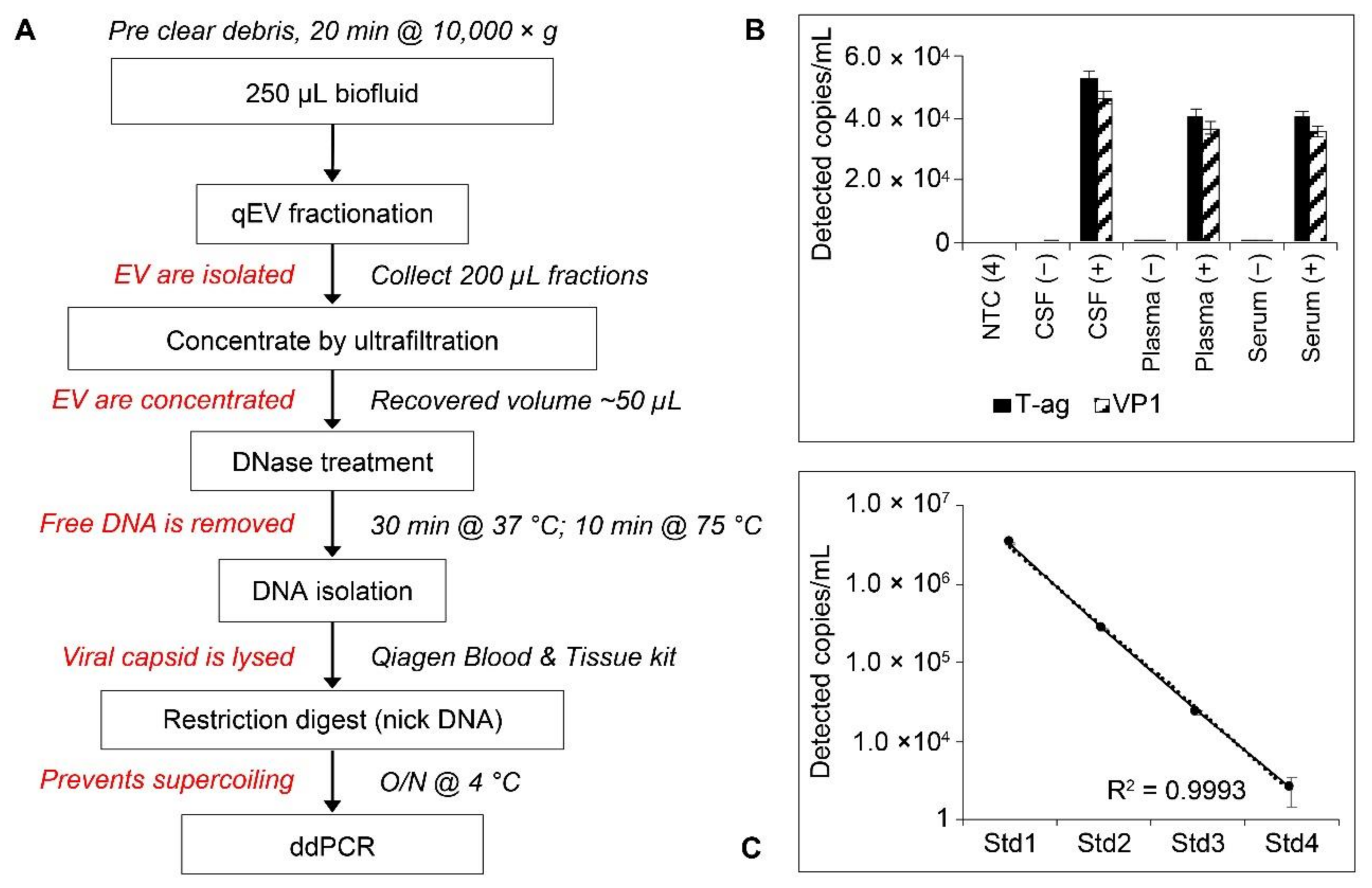 Ijms 22 09809 g006 550