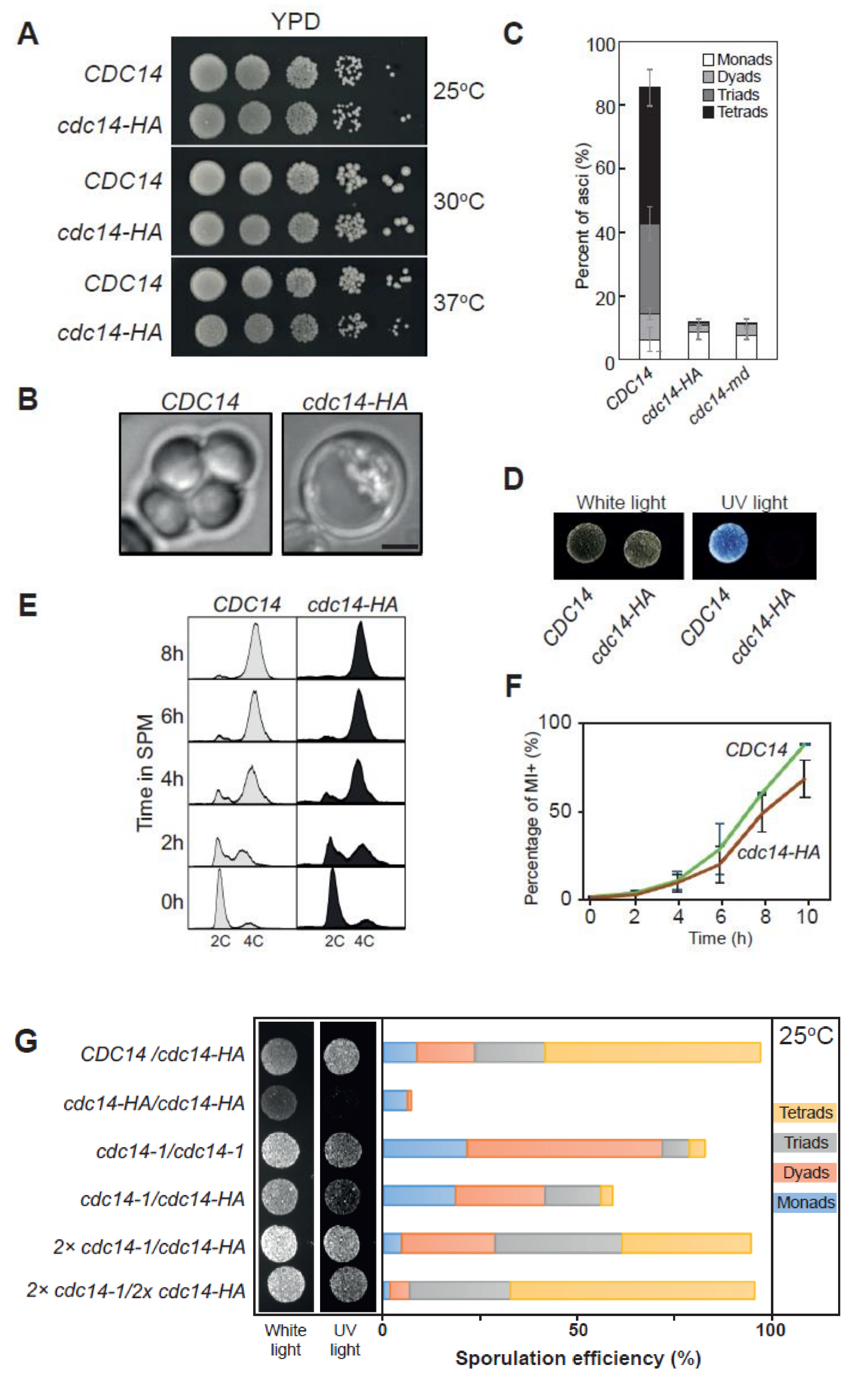 Ijms 22 09811 g001 Ijms 22 09811 g001
