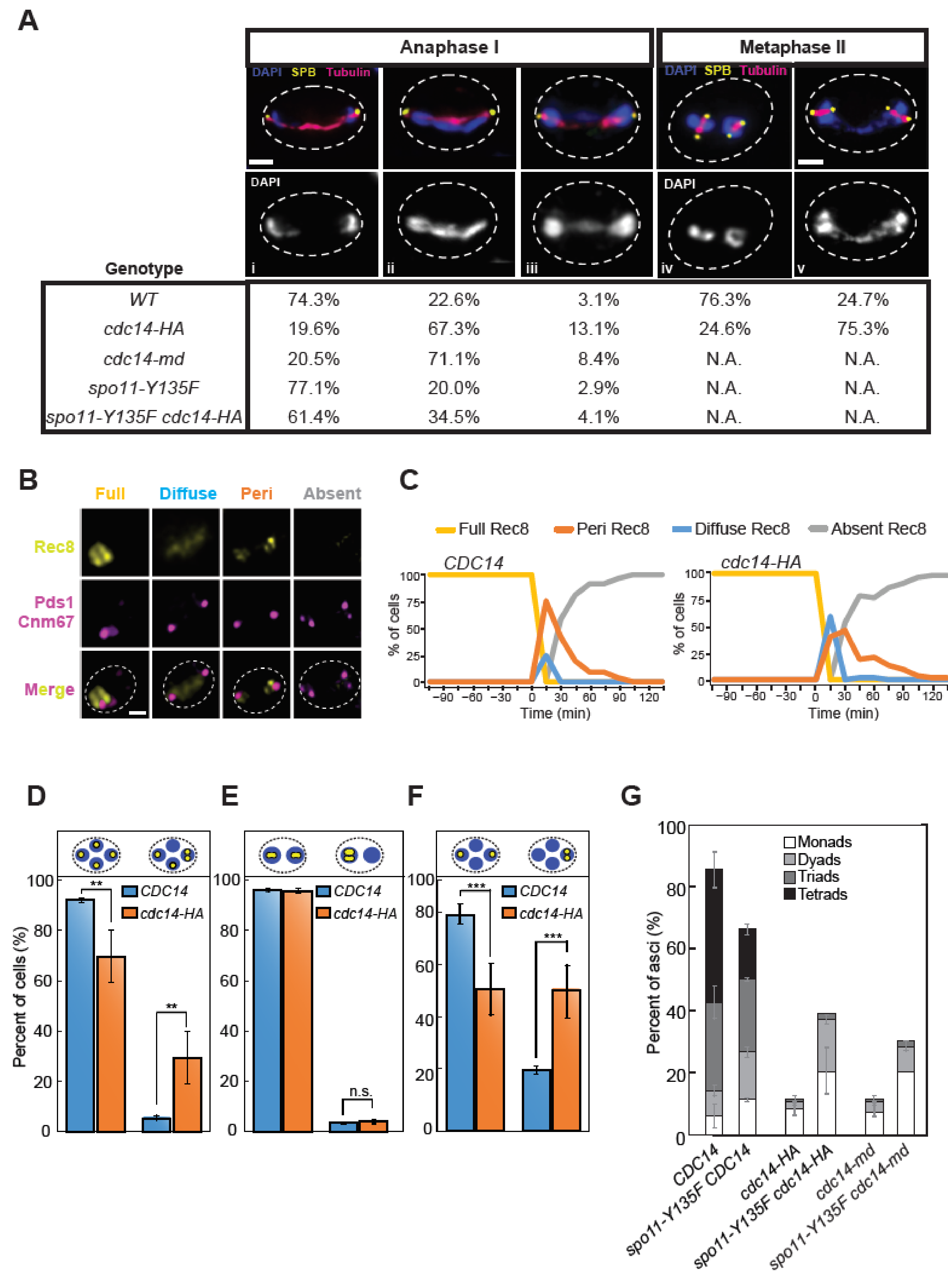 Ijms 22 09811 g003 Ijms 22 09811 g003