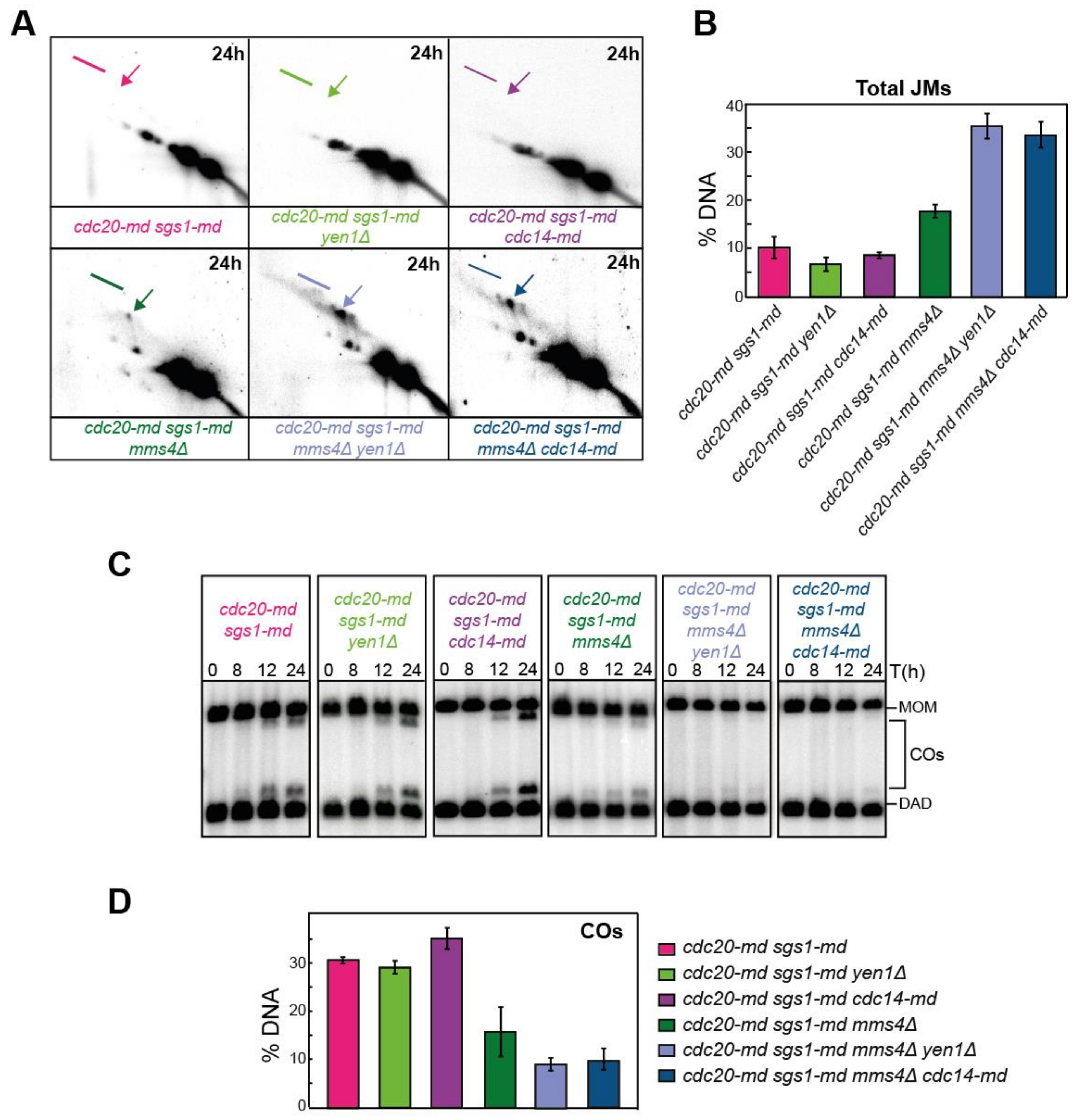 Ijms 22 09811 g007 Ijms 22 09811 g007