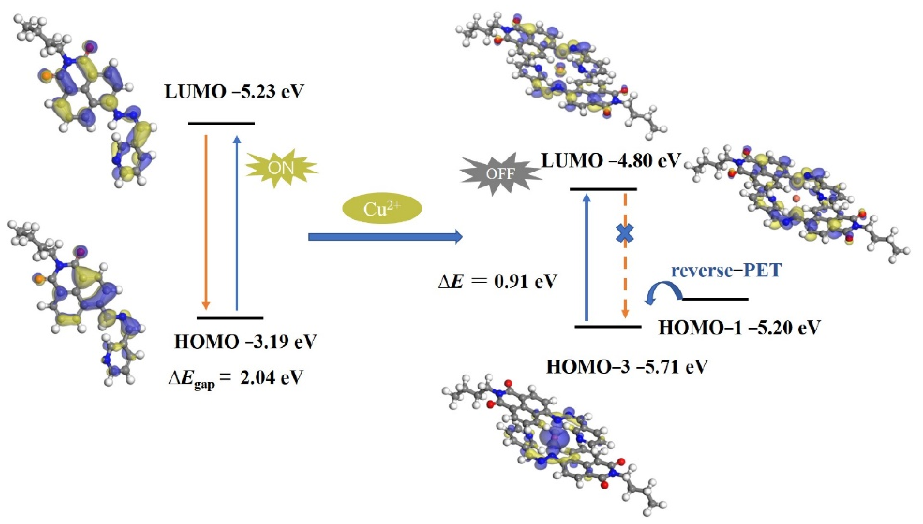 Ijms 22 09816 g006 550