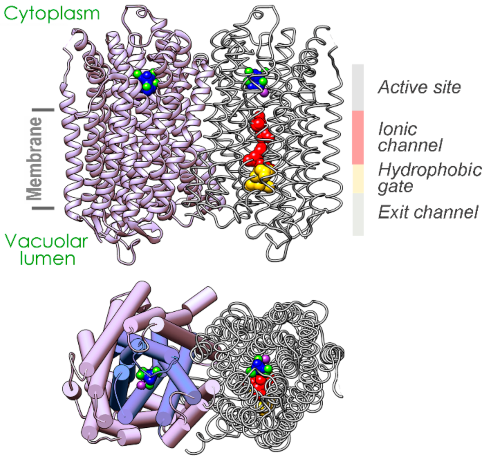 Ijms 22 09820 g001 Ijms 22 09820 g001