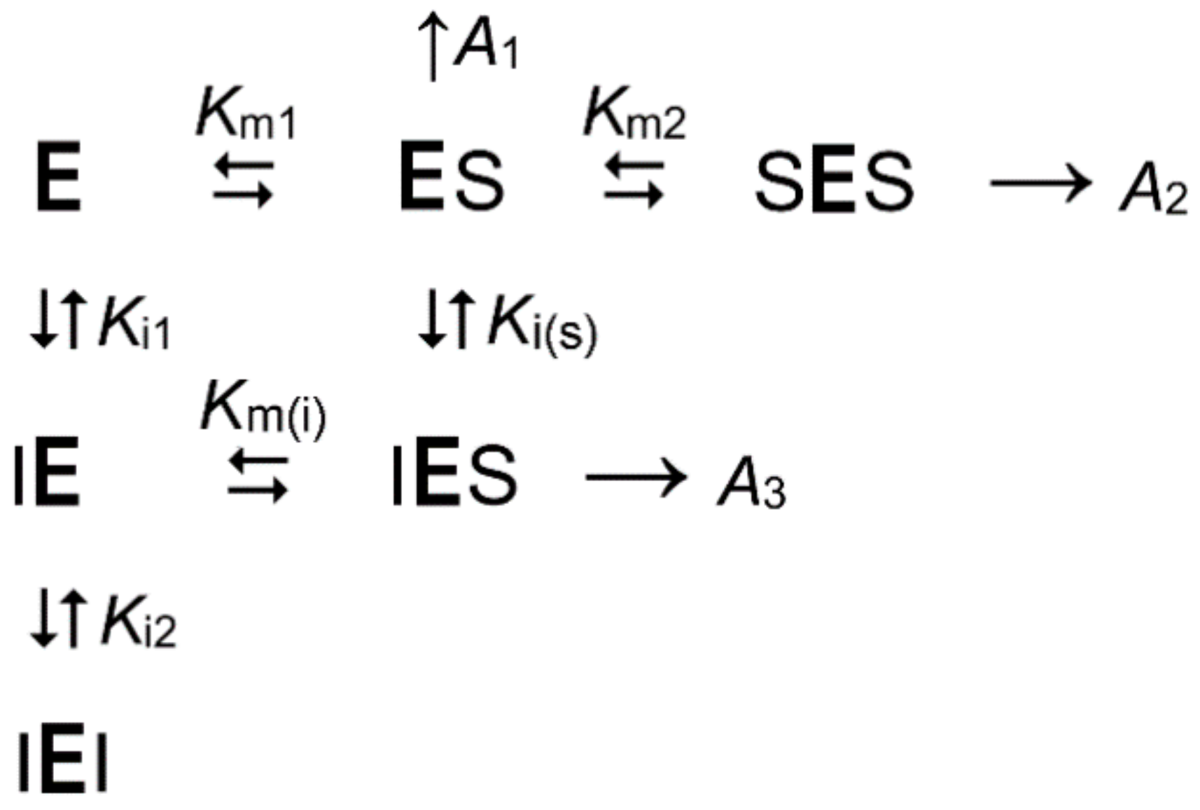 Ijms 22 09820 sch002 Ijms 22 09820 sch002
