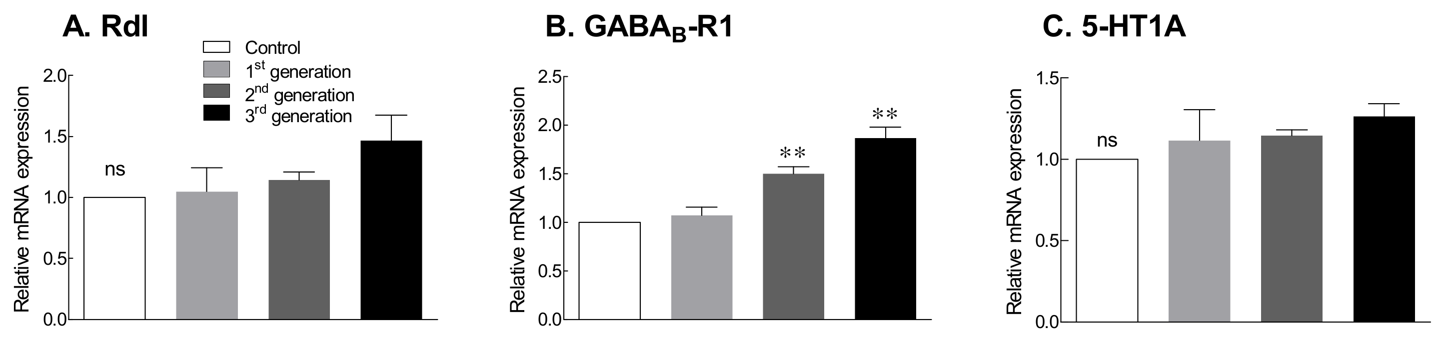 Ijms 22 09822 g004 Ijms 22 09822 g004