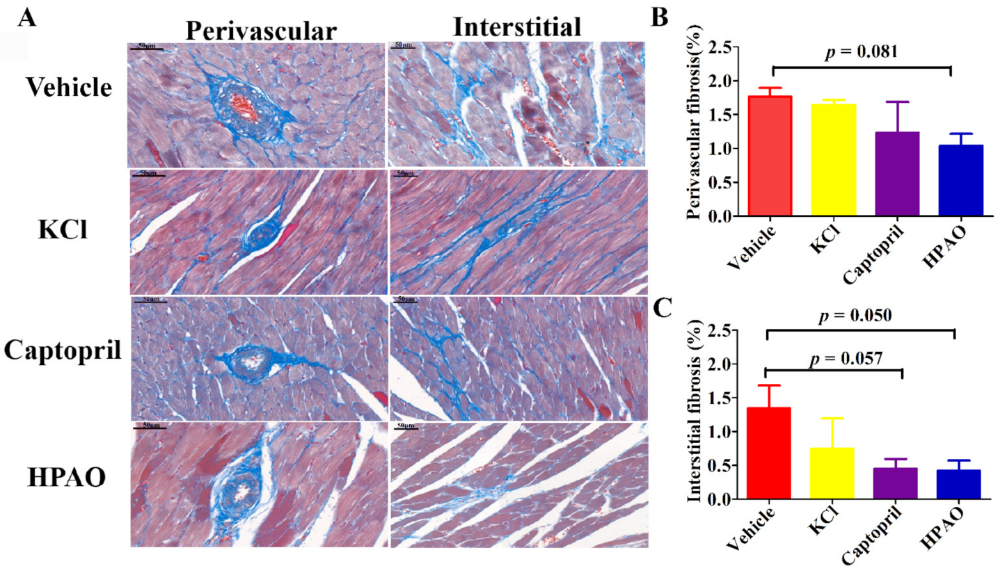 Ijms 22 09823 g002 550