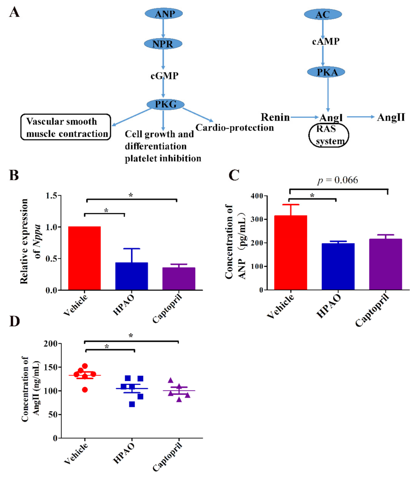Ijms 22 09823 g004 550