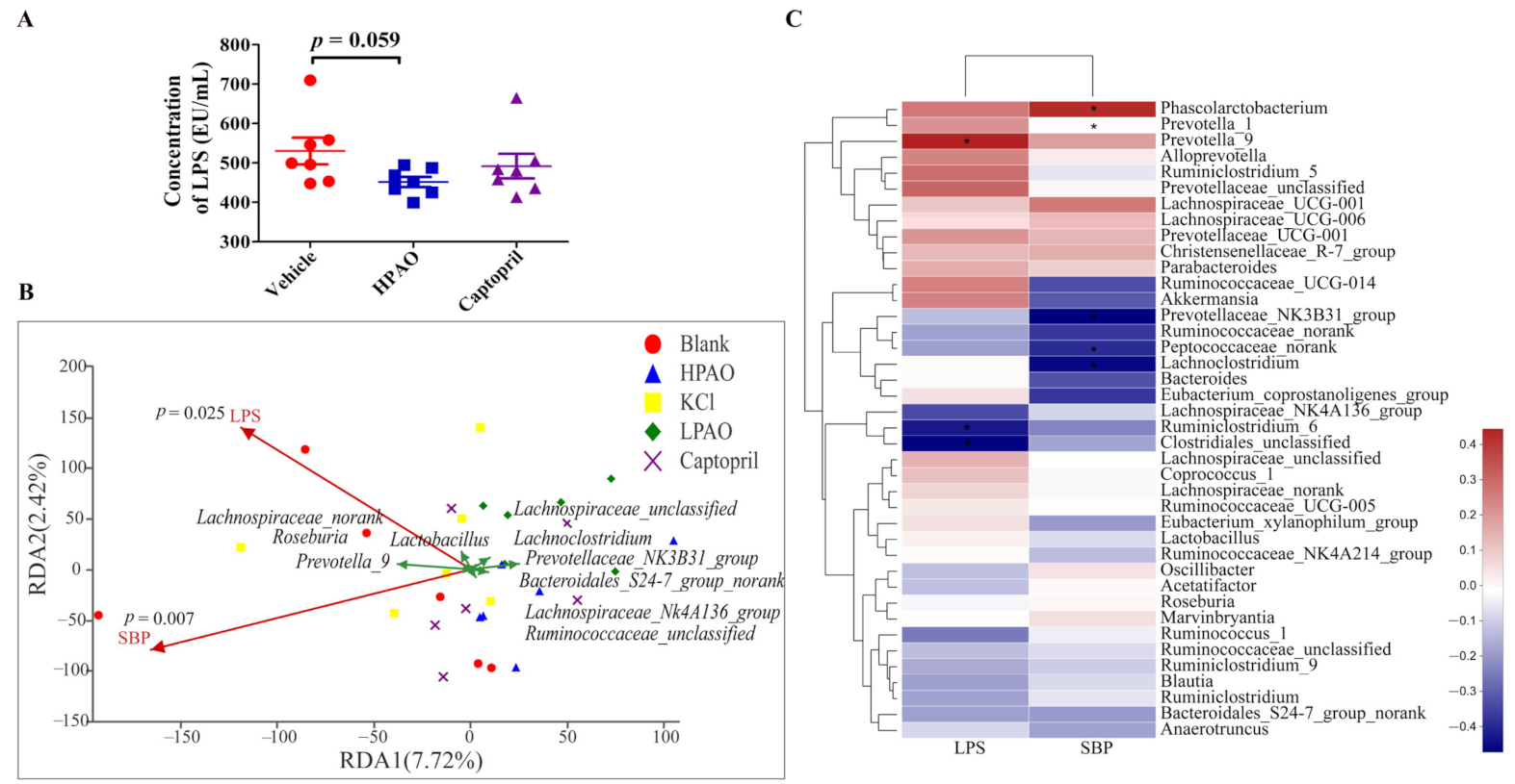 Ijms 22 09823 g007 550