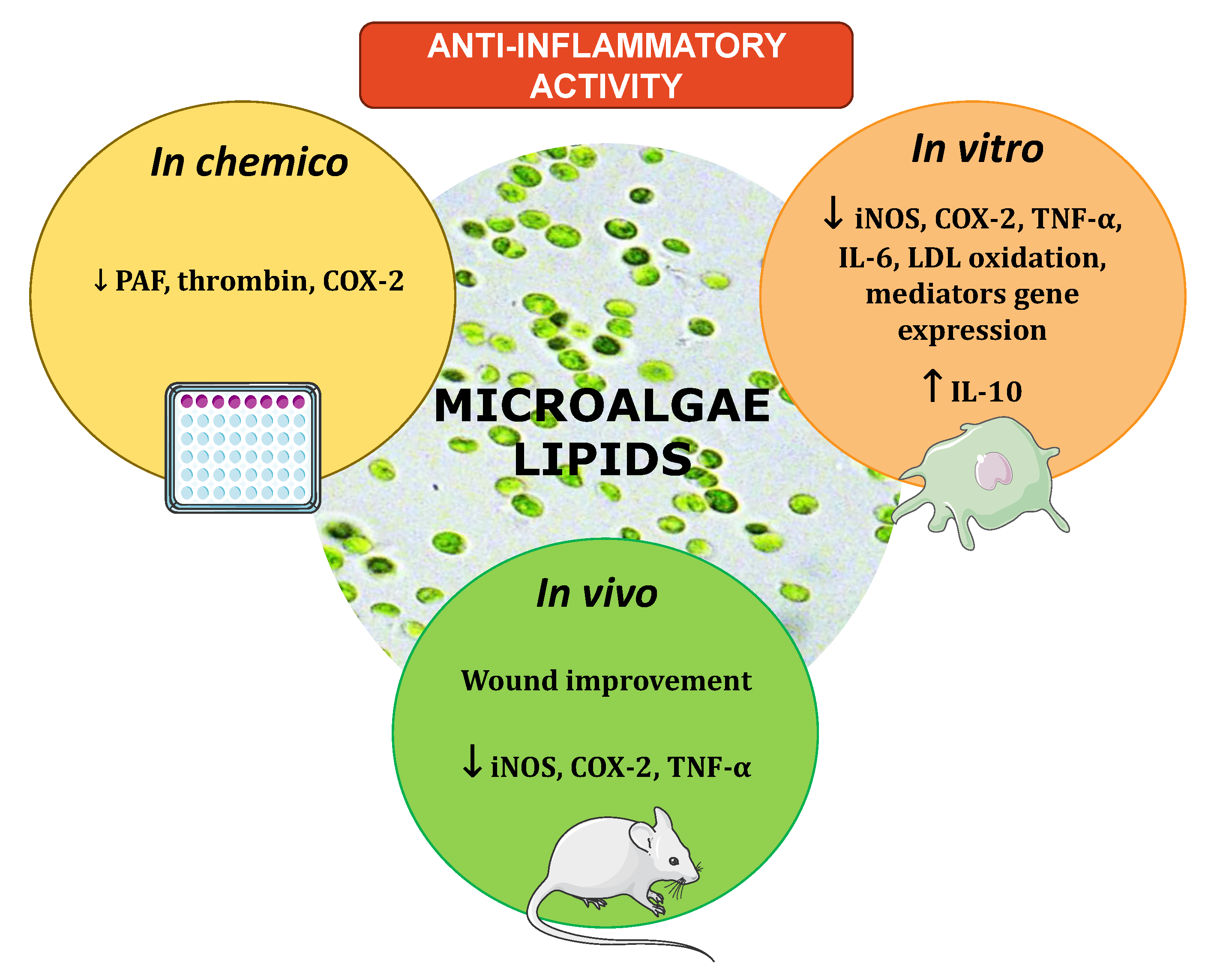 Ijms 22 09825 g004 550
