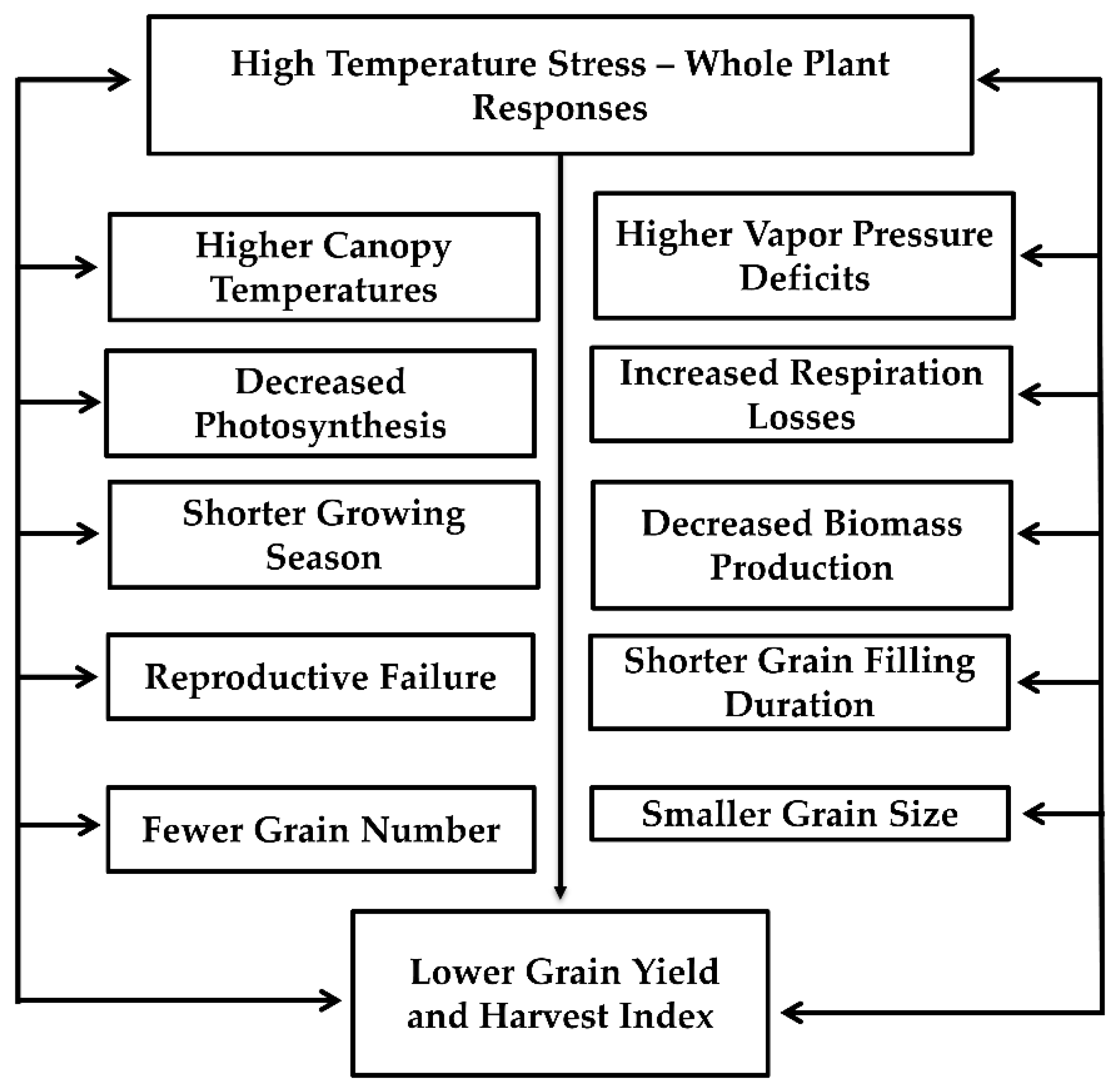Ijms 22 09826 g002 Ijms 22 09826 g002