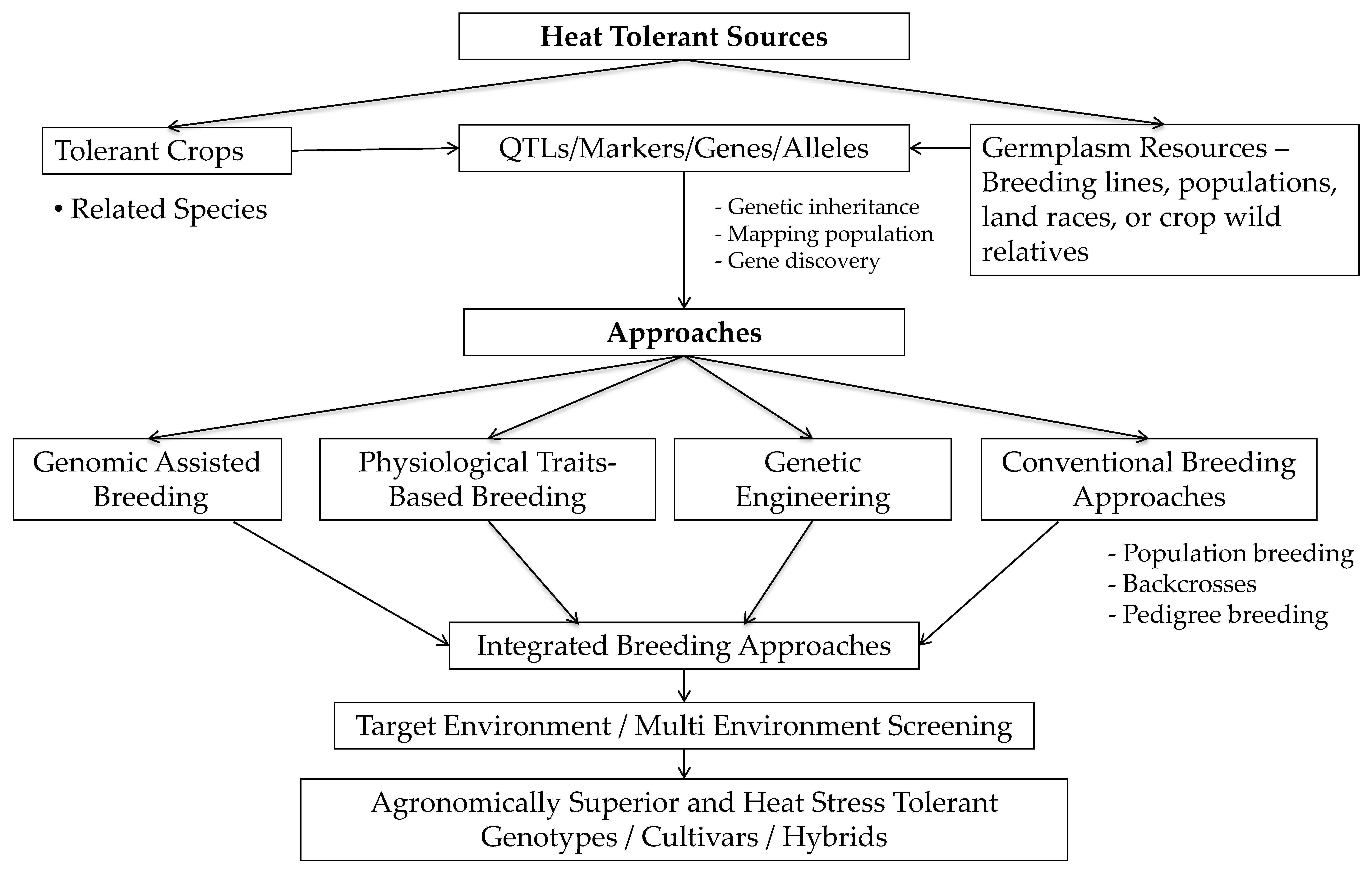 Ijms 22 09826 g005 Ijms 22 09826 g005