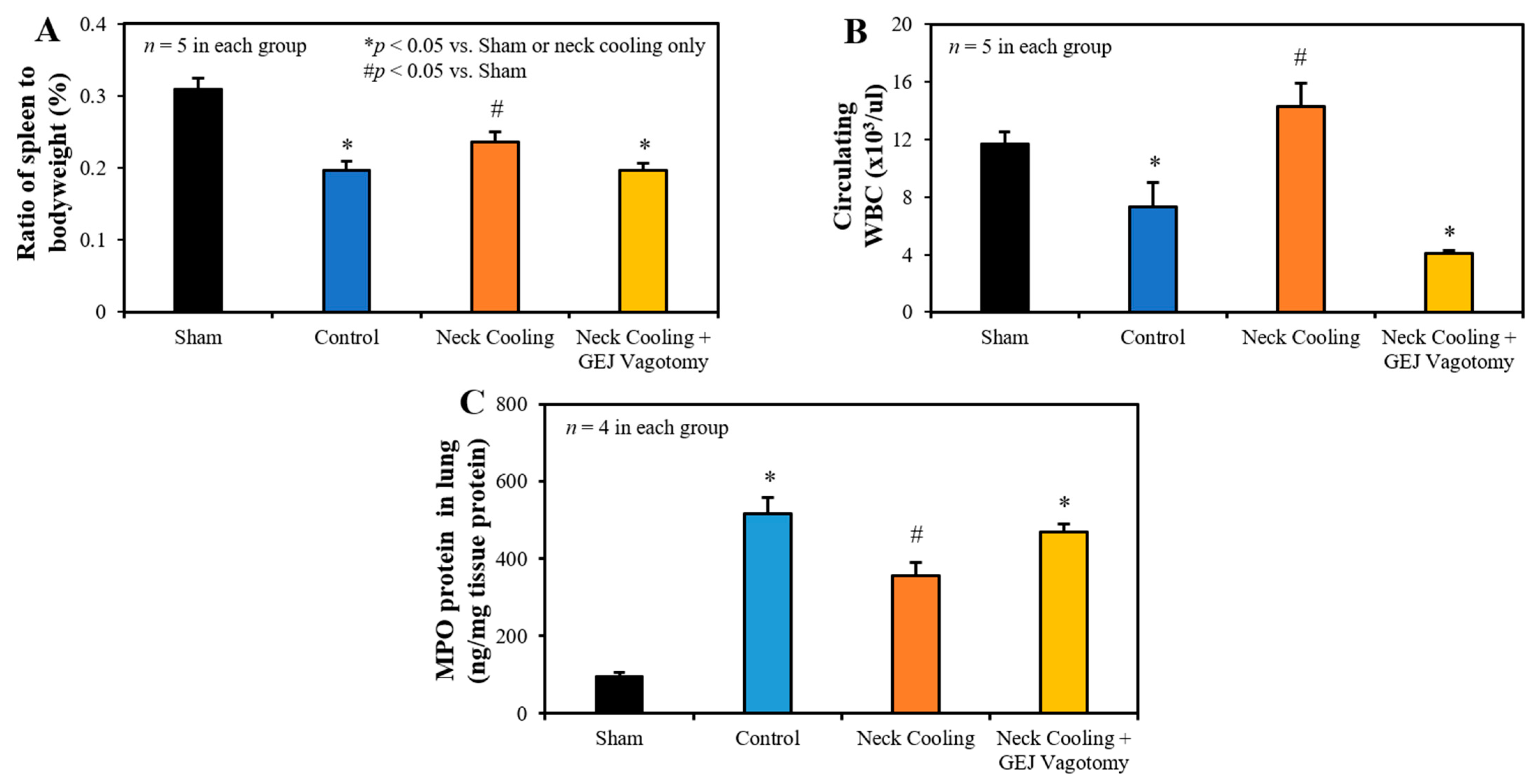 Ijms 22 09828 g004 550
