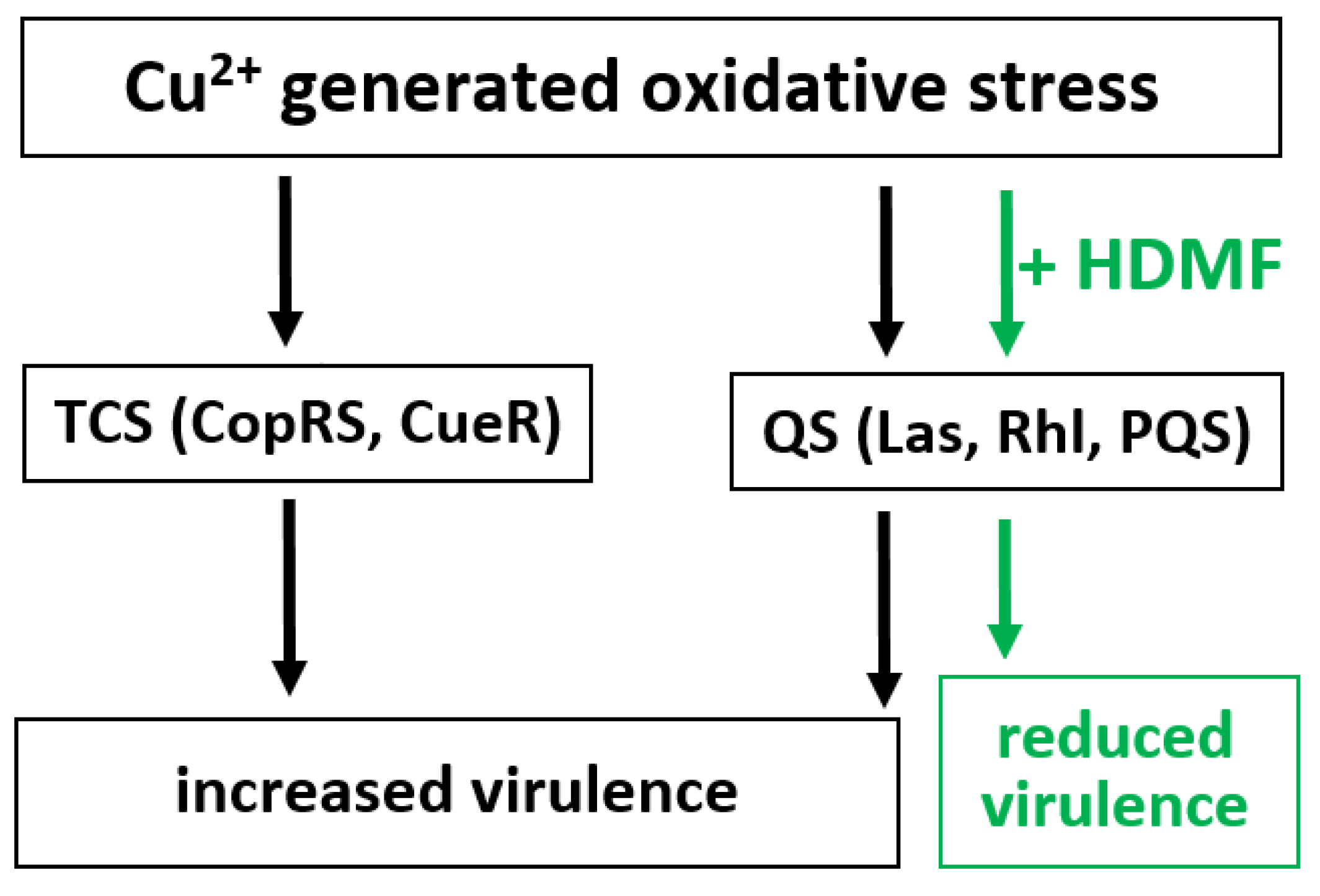 Ijms 22 09830 g008 550