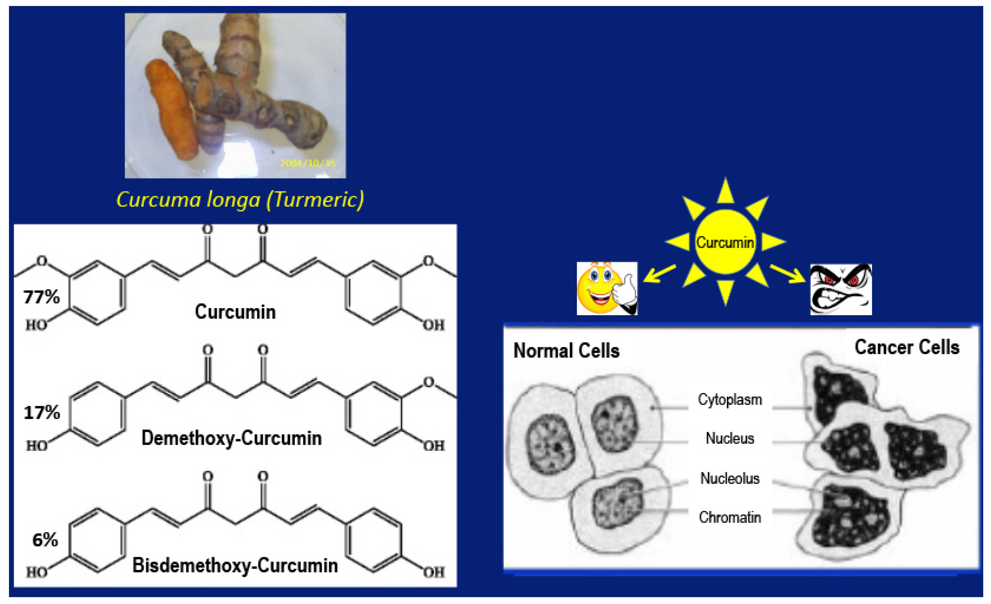 Ijms 22 09836 g001 550