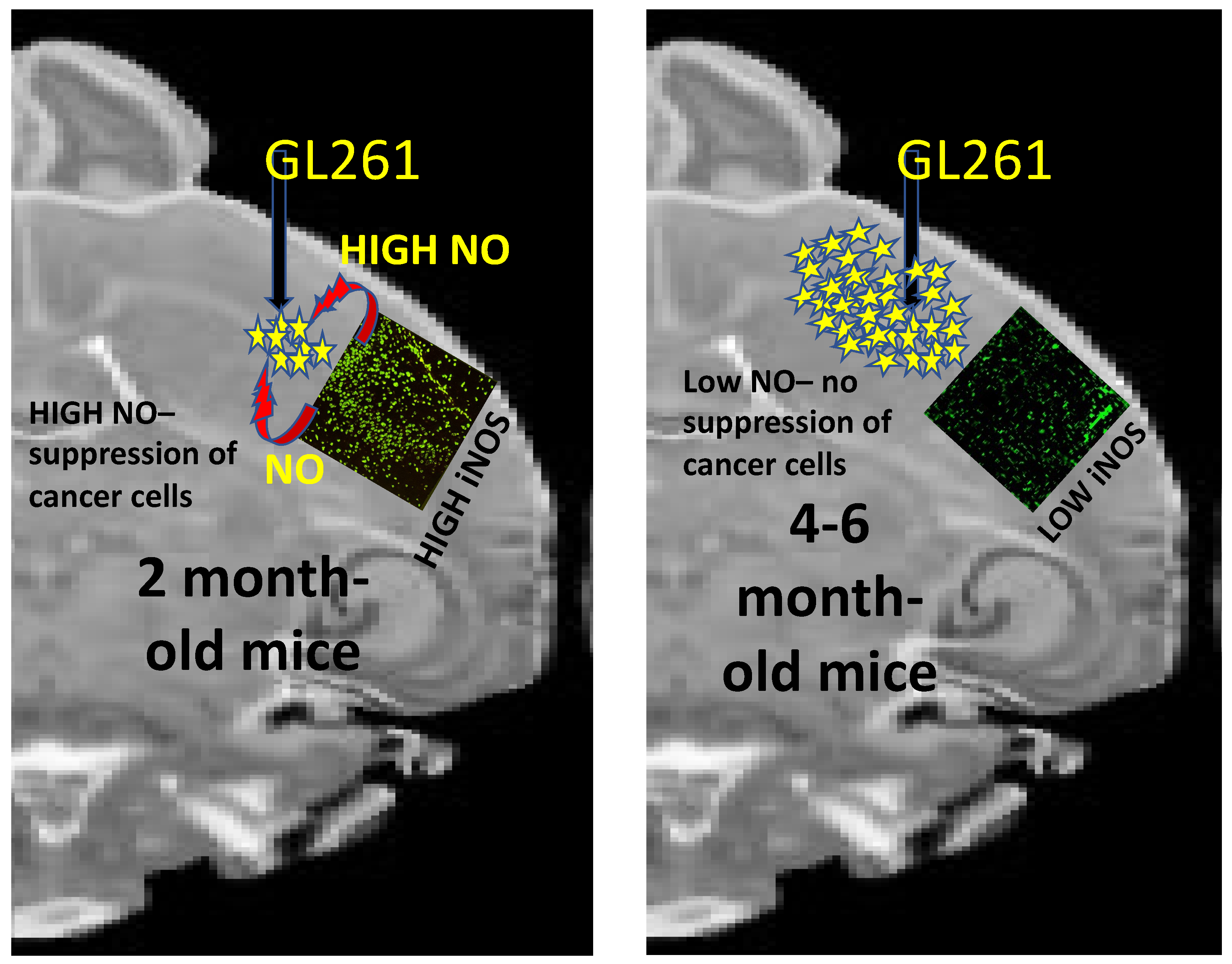 Ijms 22 09836 g003 550