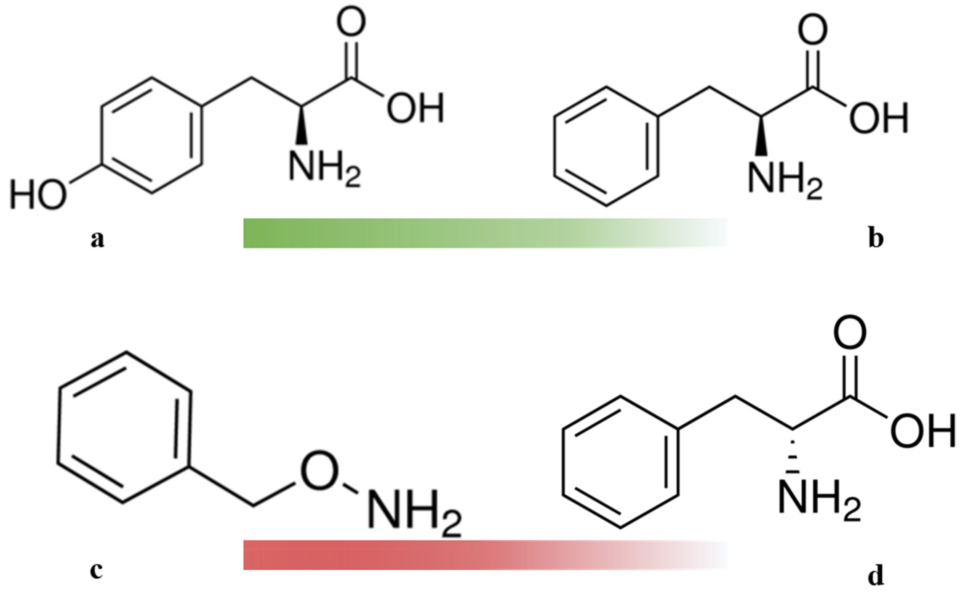 Ijms 22 09848 g005 550