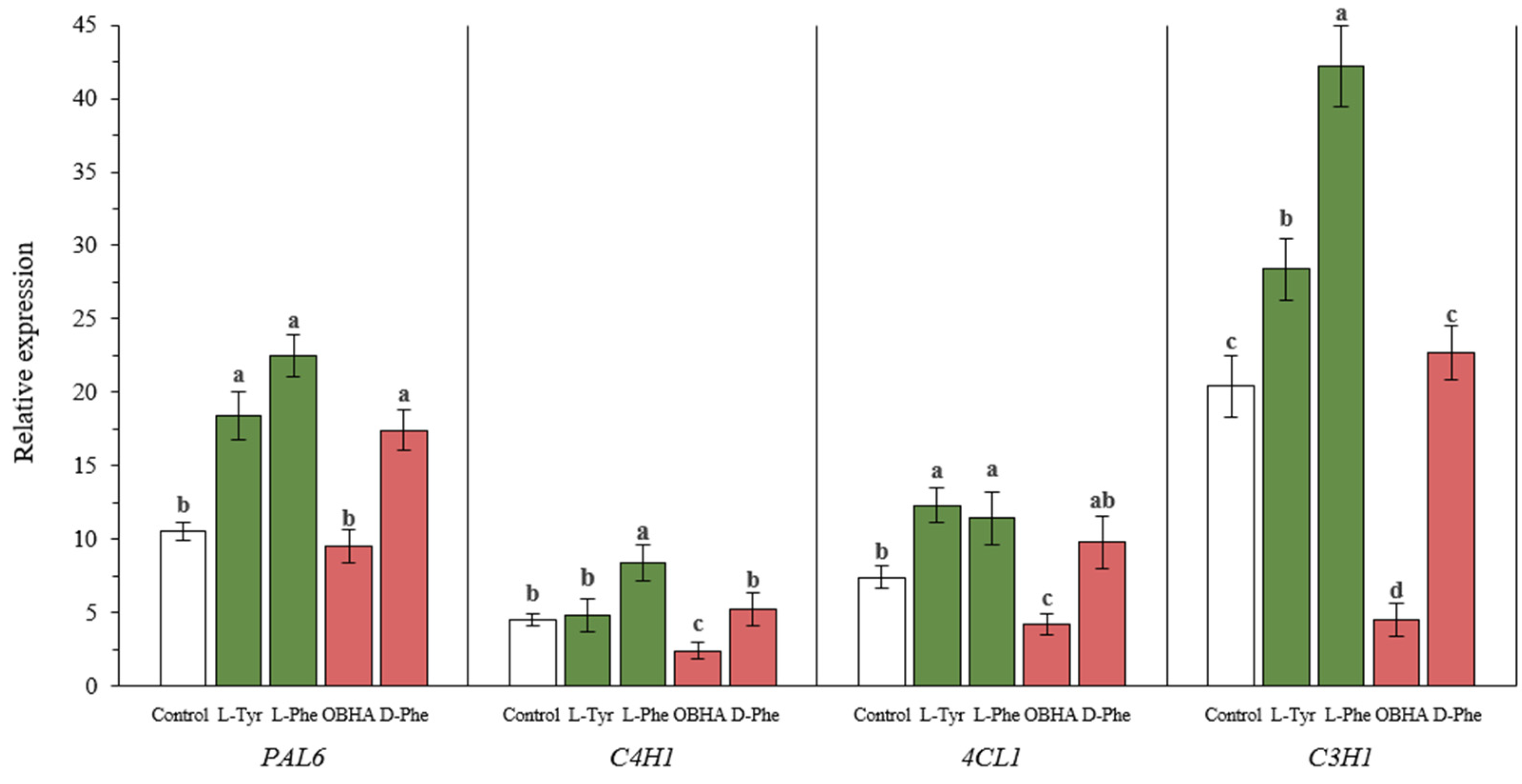 Ijms 22 09848 g006 550
