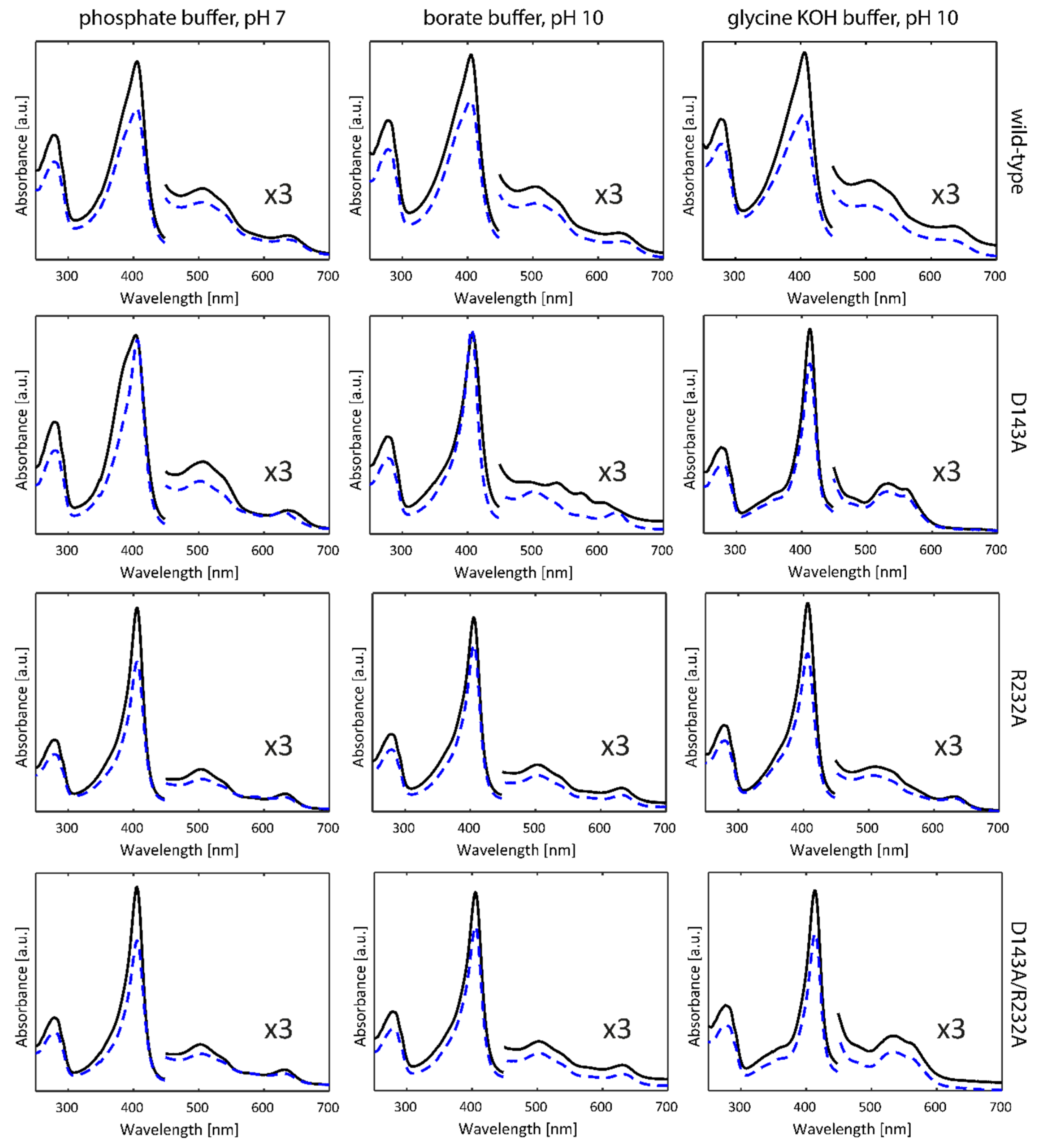 Ijms 22 09849 g002 Ijms 22 09849 g002