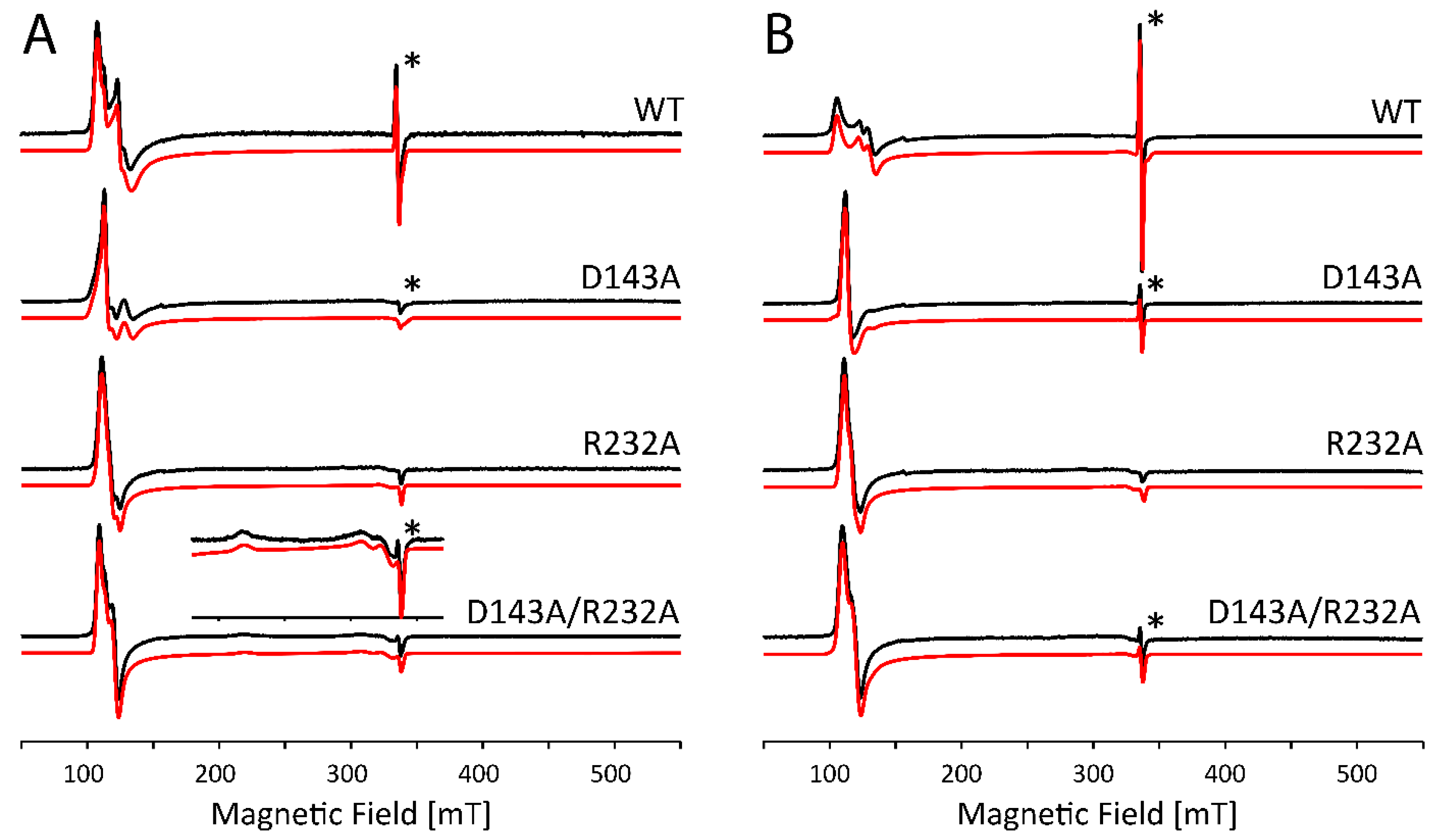 Ijms 22 09849 g003 Ijms 22 09849 g003