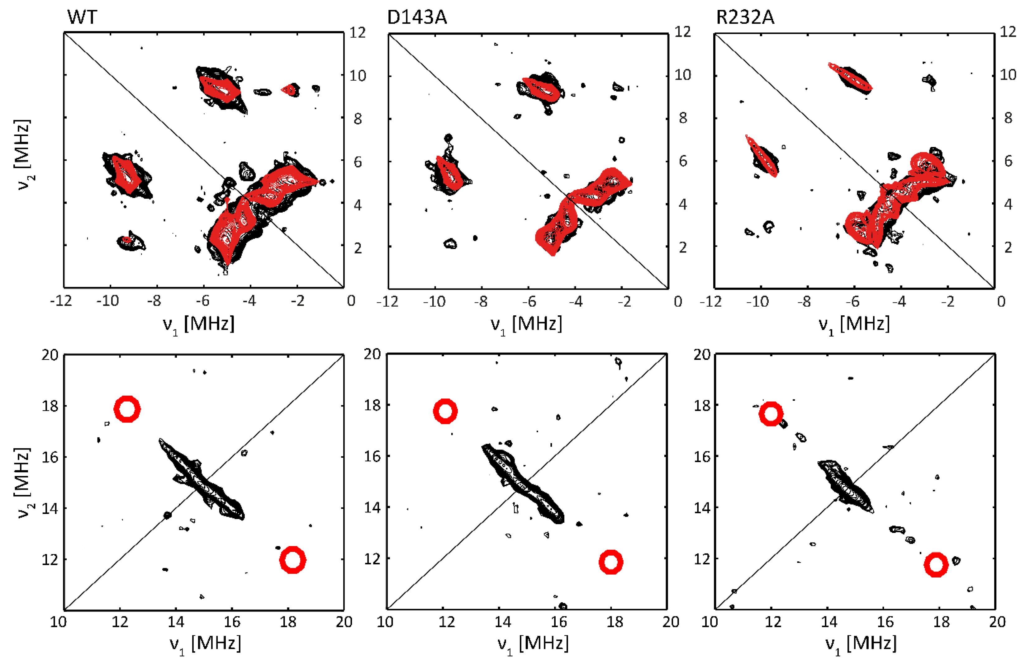 Ijms 22 09849 g007 Ijms 22 09849 g007