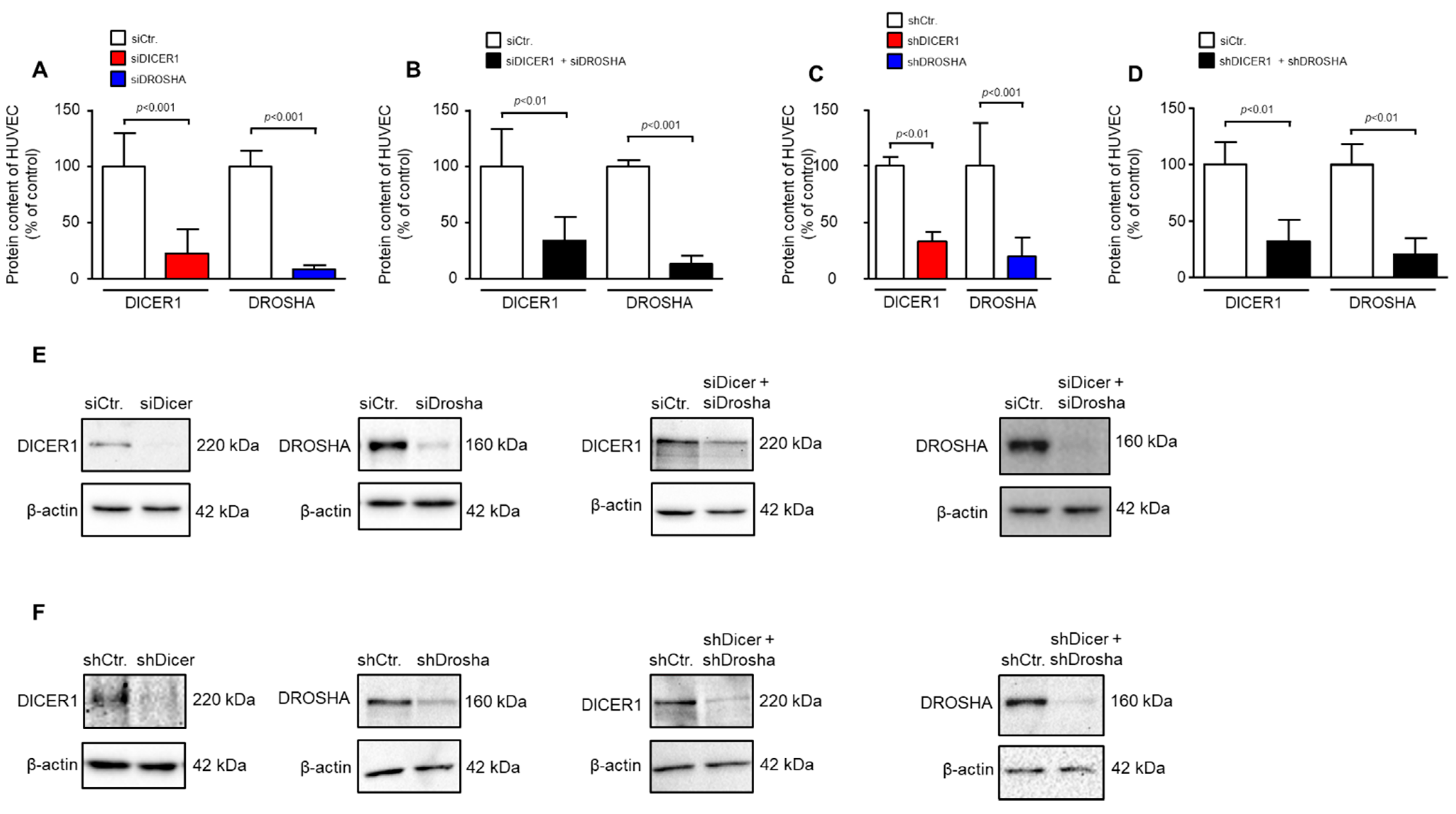 Ijms 22 09855 g001 550