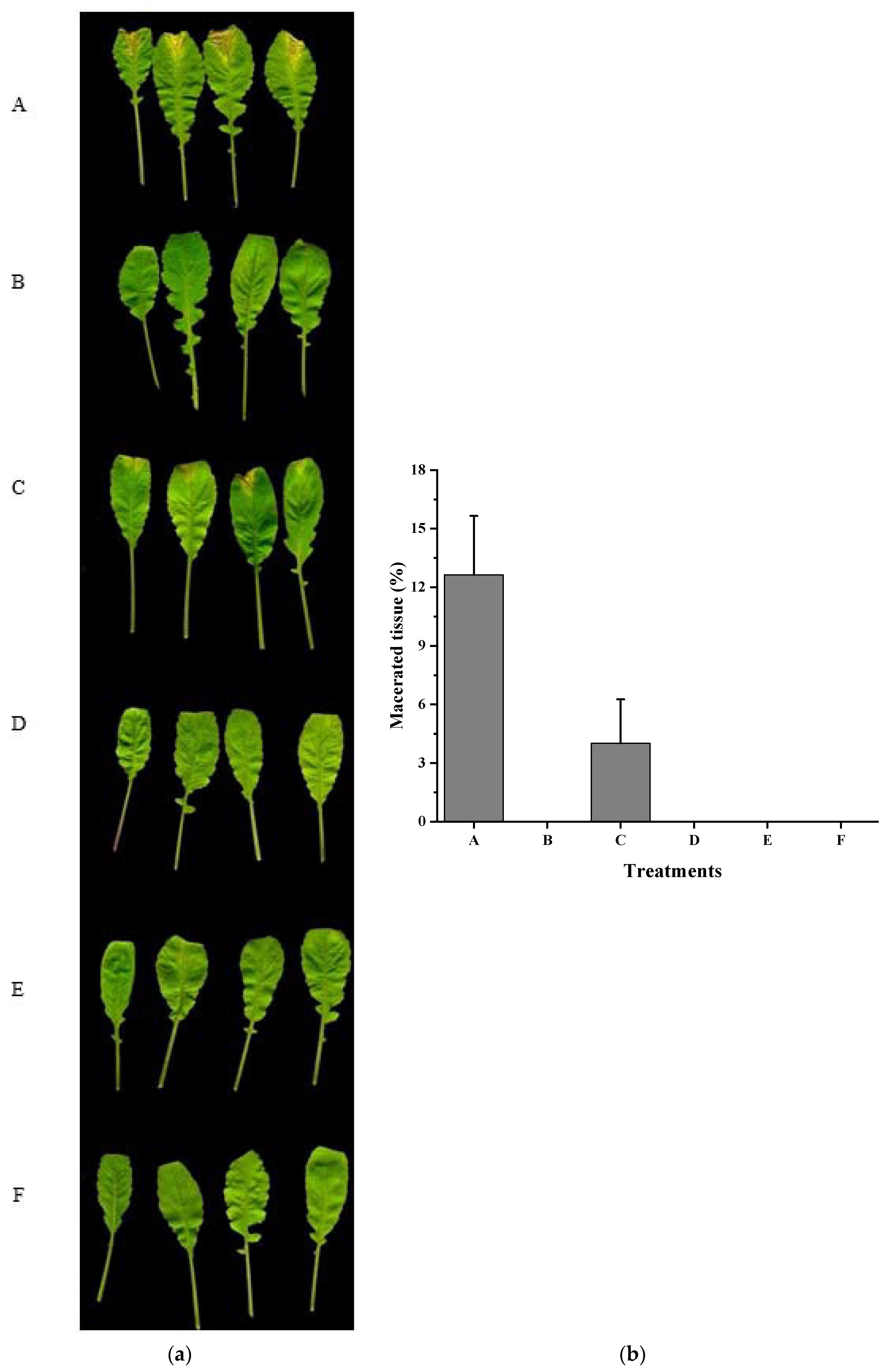 Ijms Free Full Text Identification Of Fadt As A Novel Quorum Quenching Enzyme For The Degradation Of Diffusible Signal Factor In Cupriavidus Pinatubonensis Strain Hn 2 Html Ijms Free Full Text Identification Of Fadt As A Novel Quorum Quenching Enzyme For The Degradation Of Diffusible Signal Factor In Cupriavidus Pinatubonensis Strain Hn 2 Html