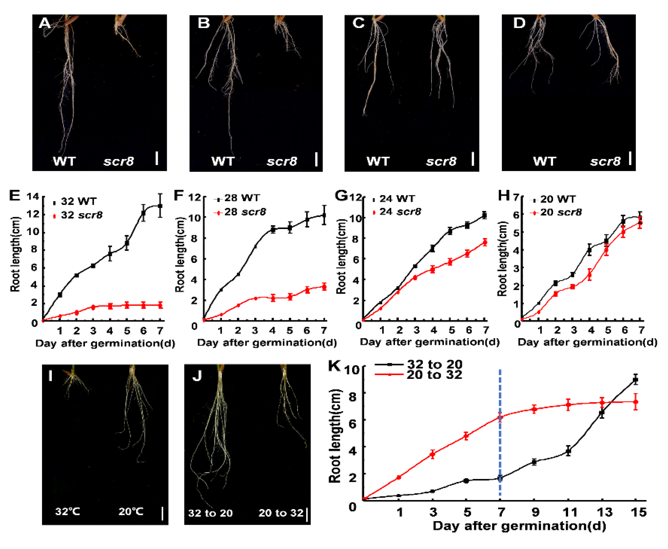 Ijms 22 09868 g004 550