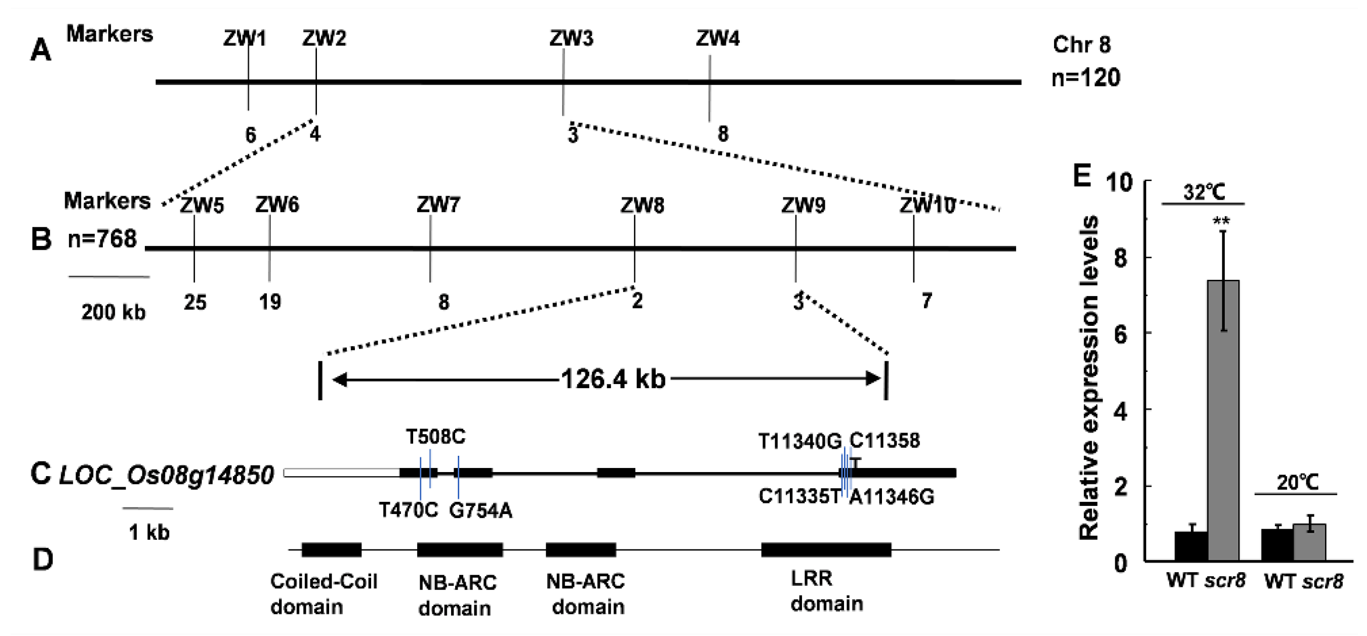 Ijms 22 09868 g006 550