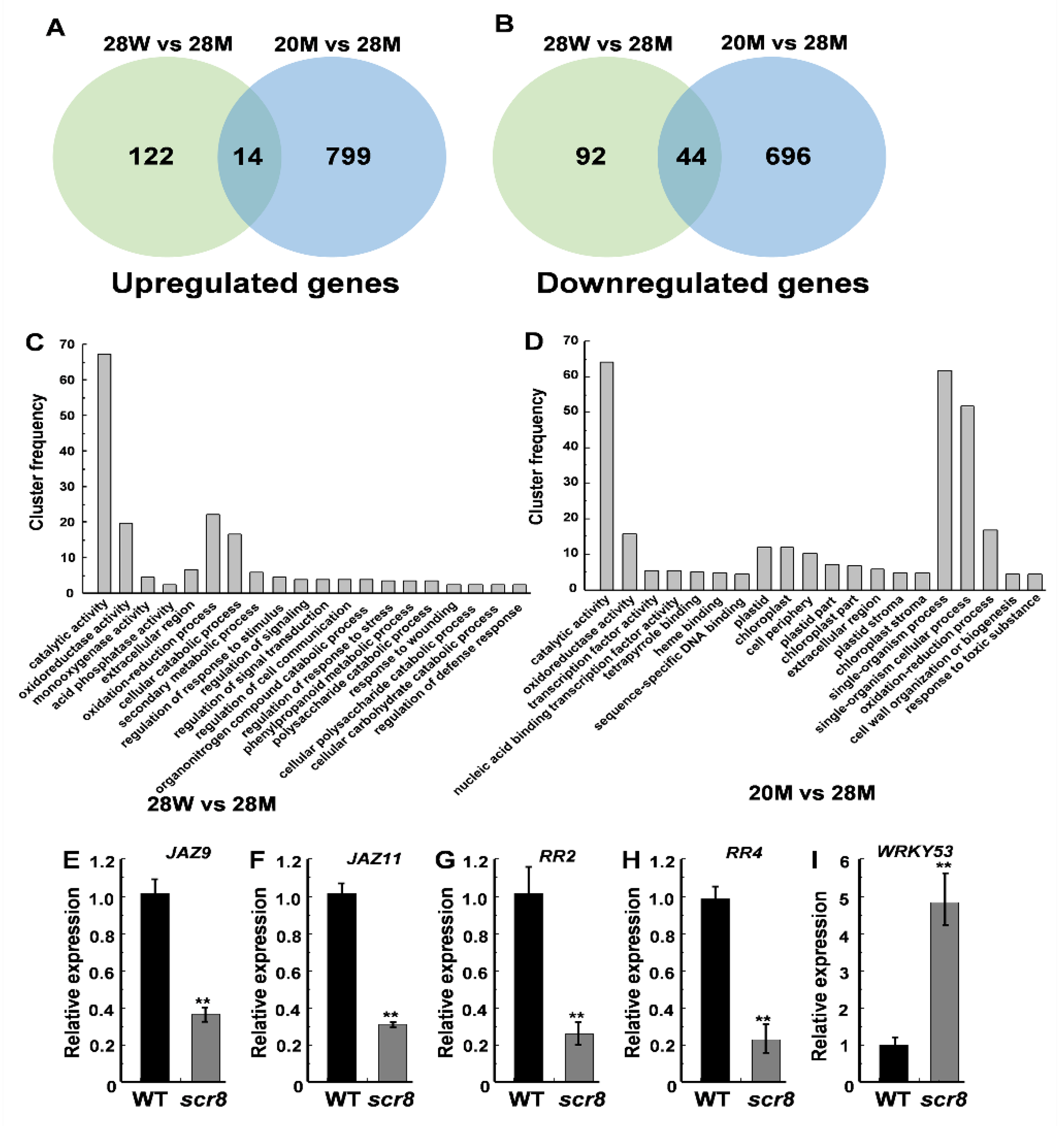 Ijms 22 09868 g007 550