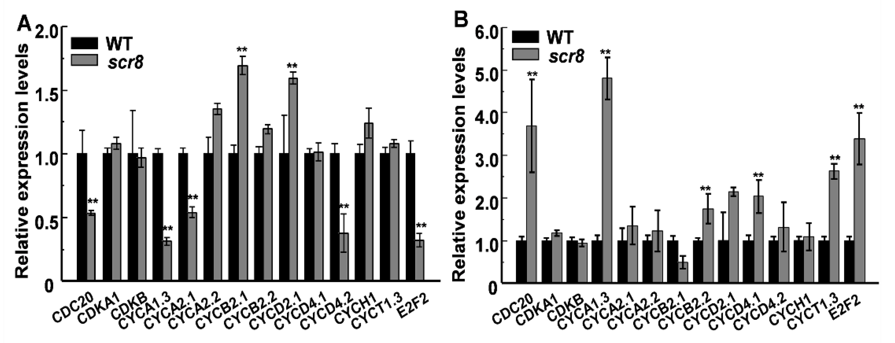 Ijms 22 09868 g009 550