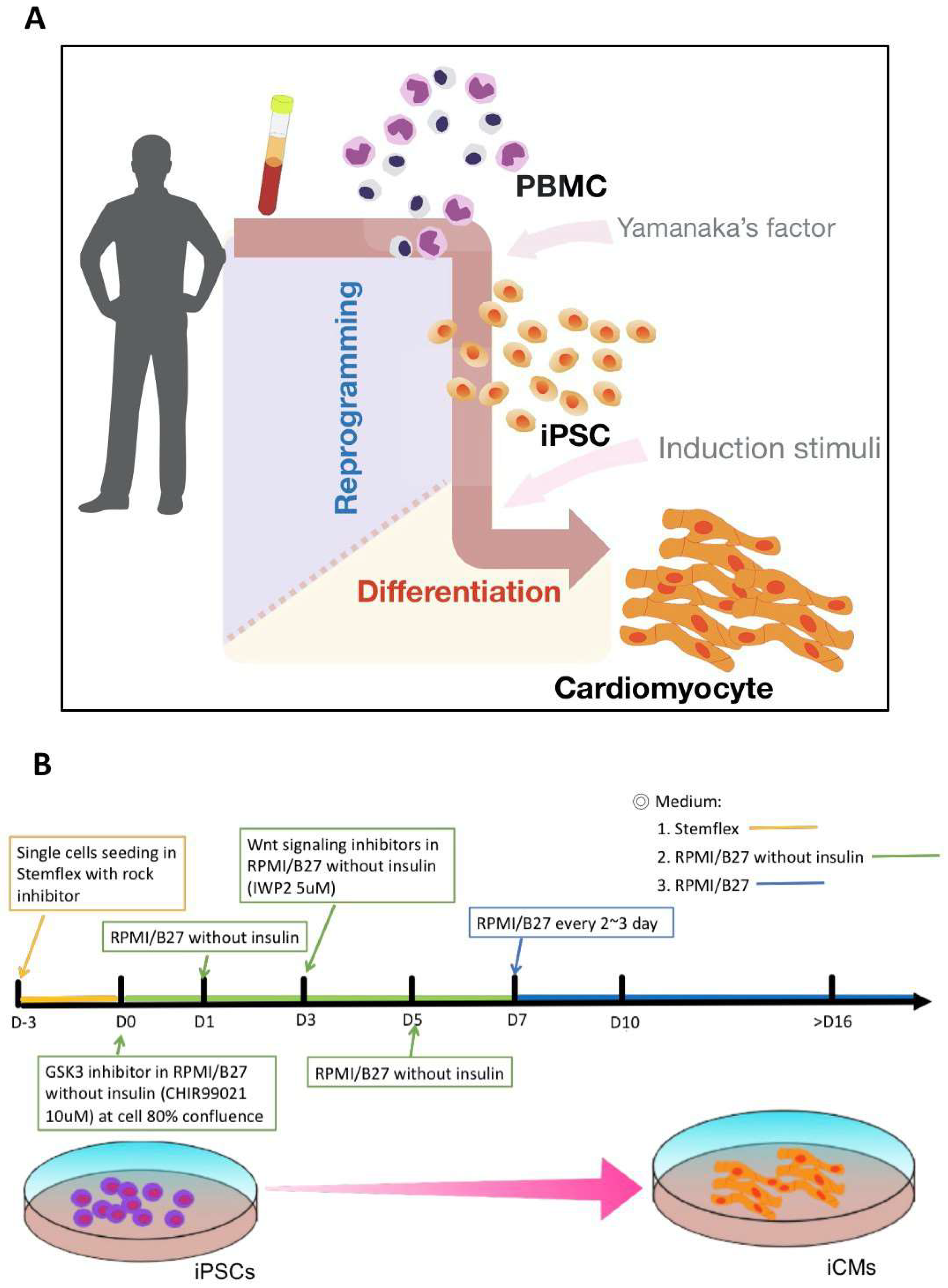 Ijms 22 09869 g001 550