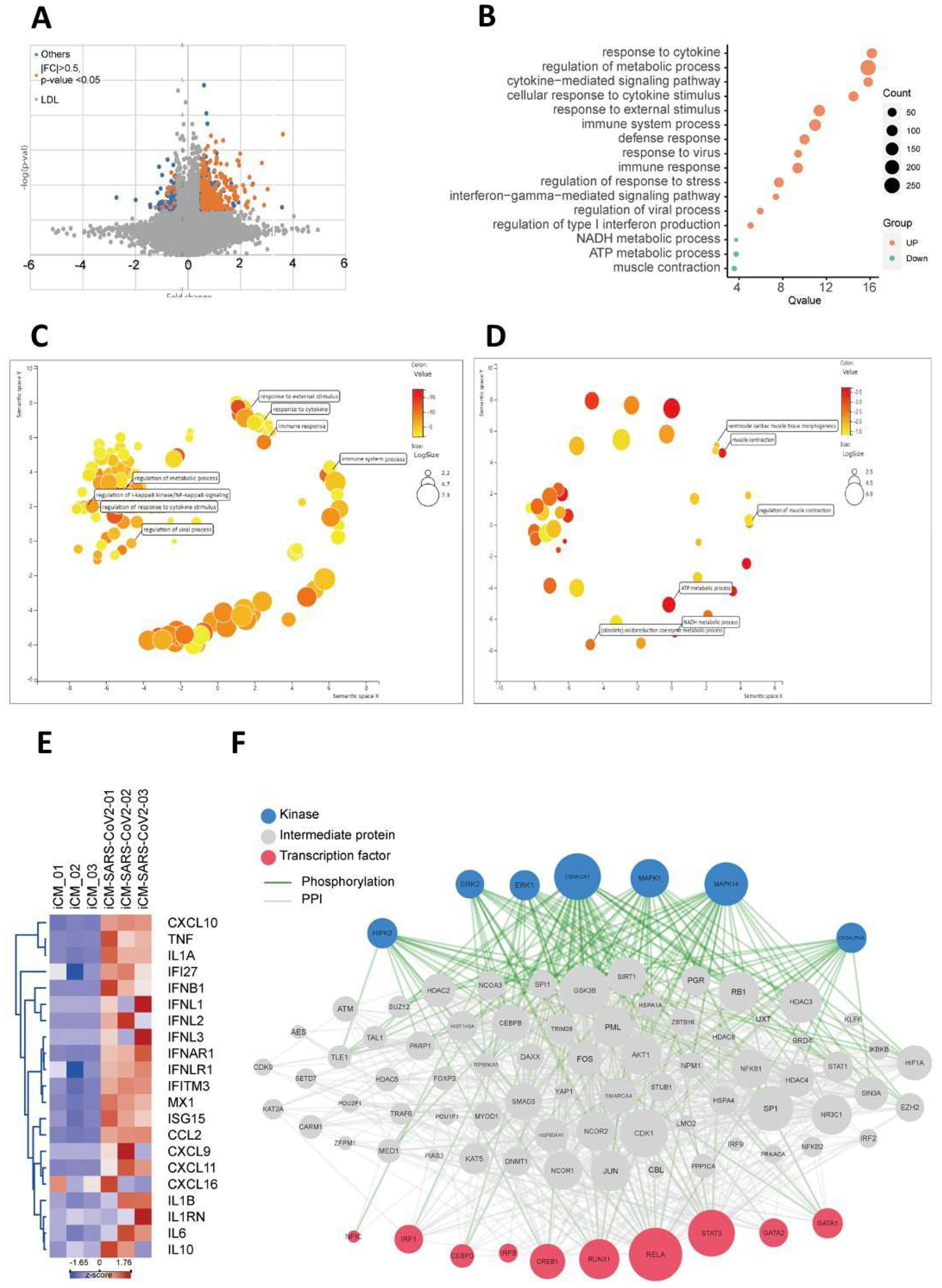 Ijms 22 09869 g004 550