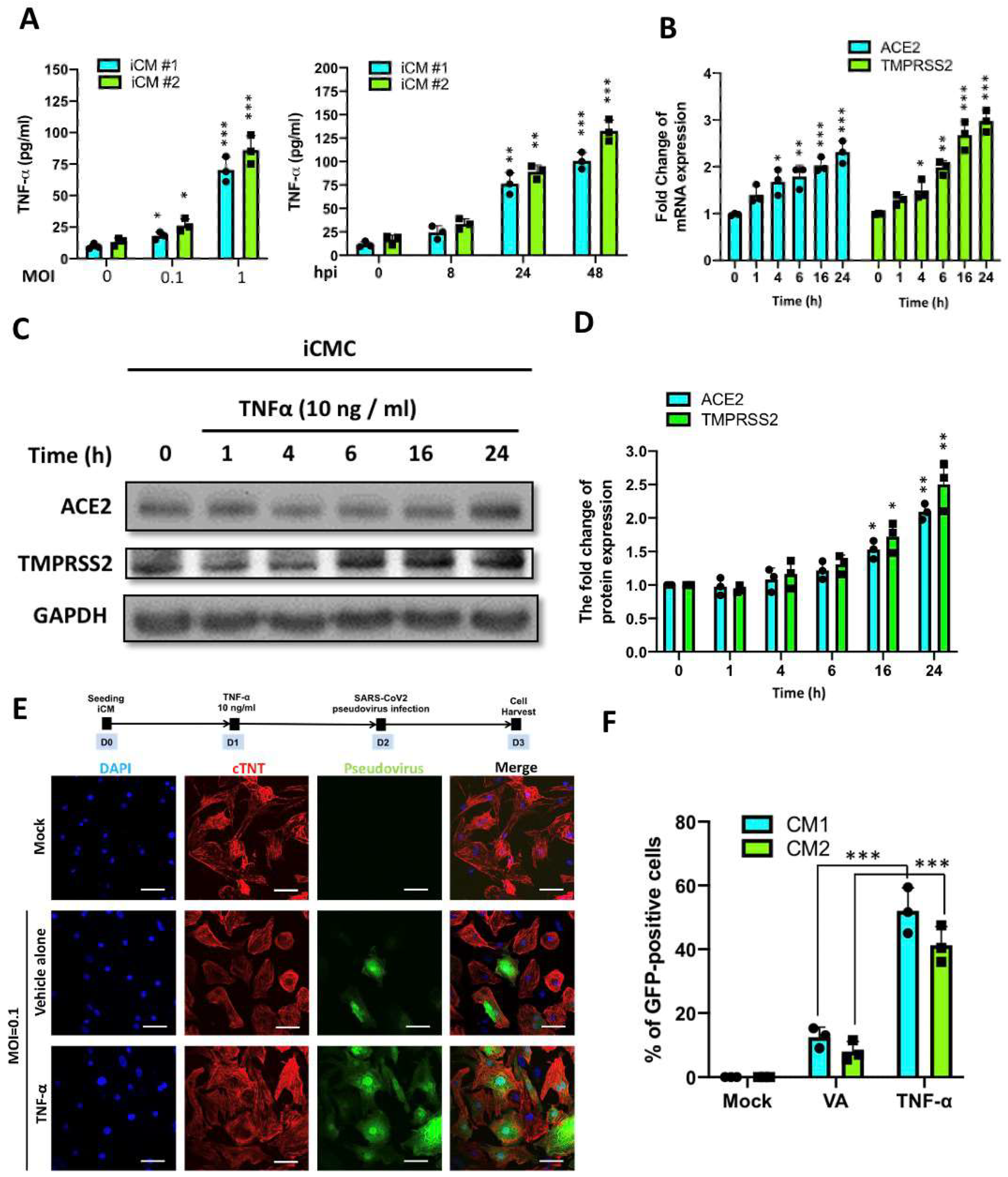 Ijms 22 09869 g005 550