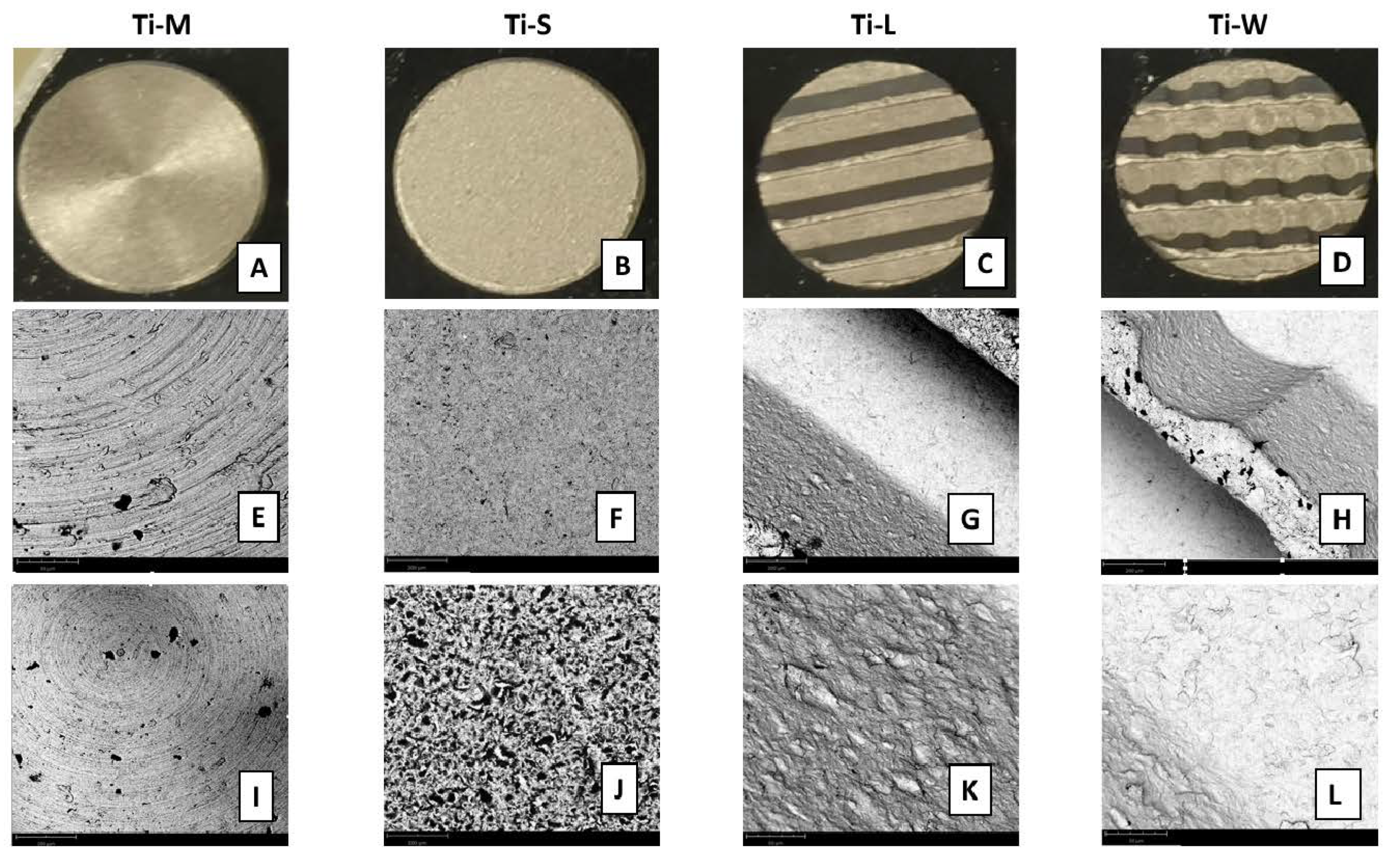 Ijms 22 09871 g001 550