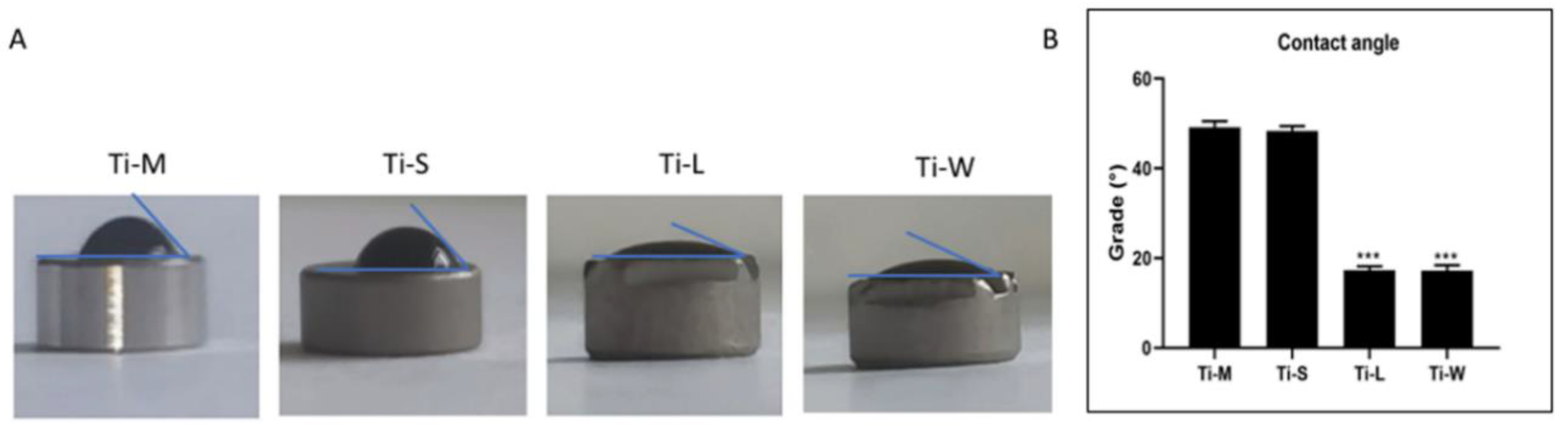 Ijms 22 09871 g004 550