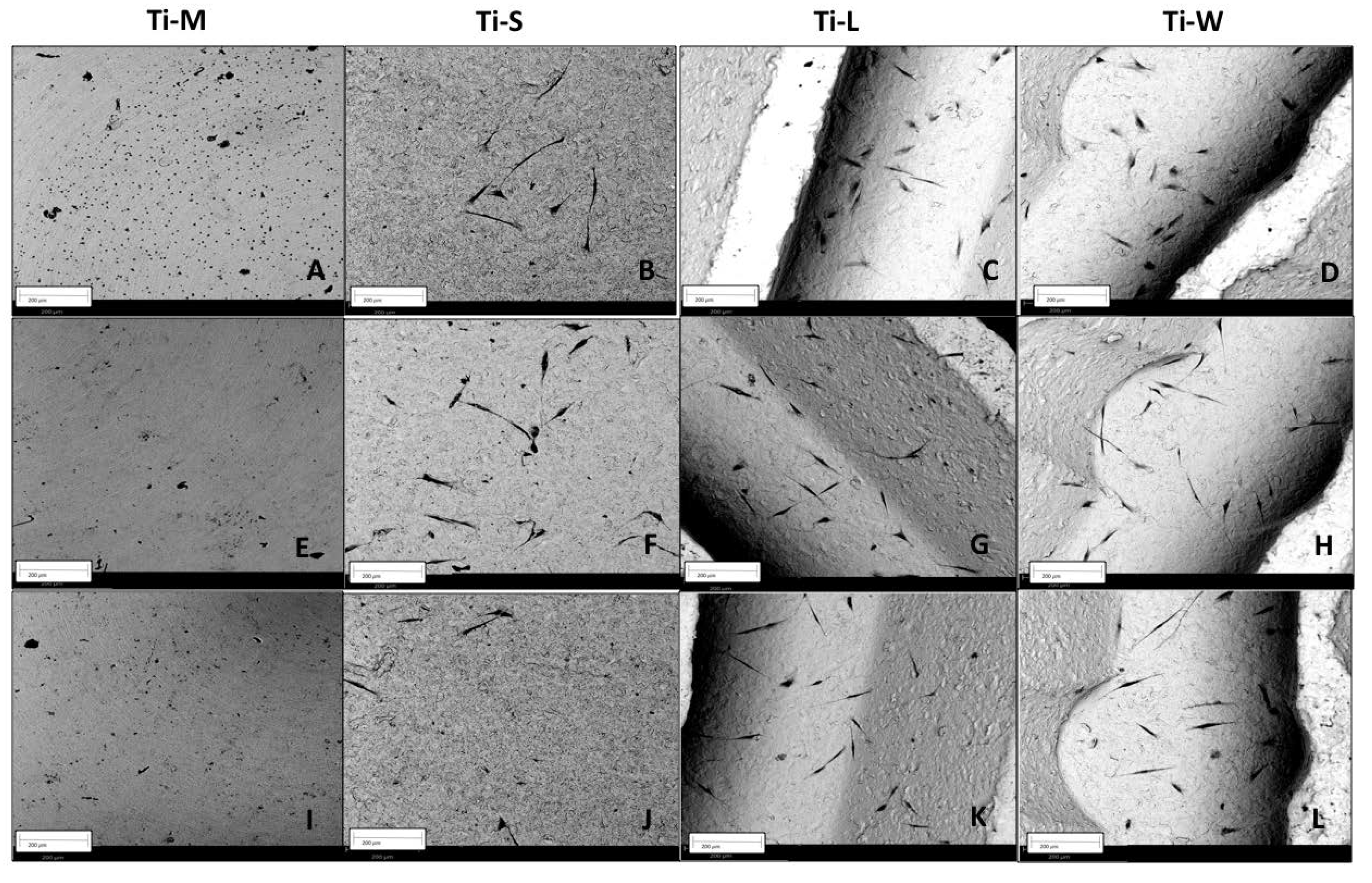 Ijms 22 09871 g005 550