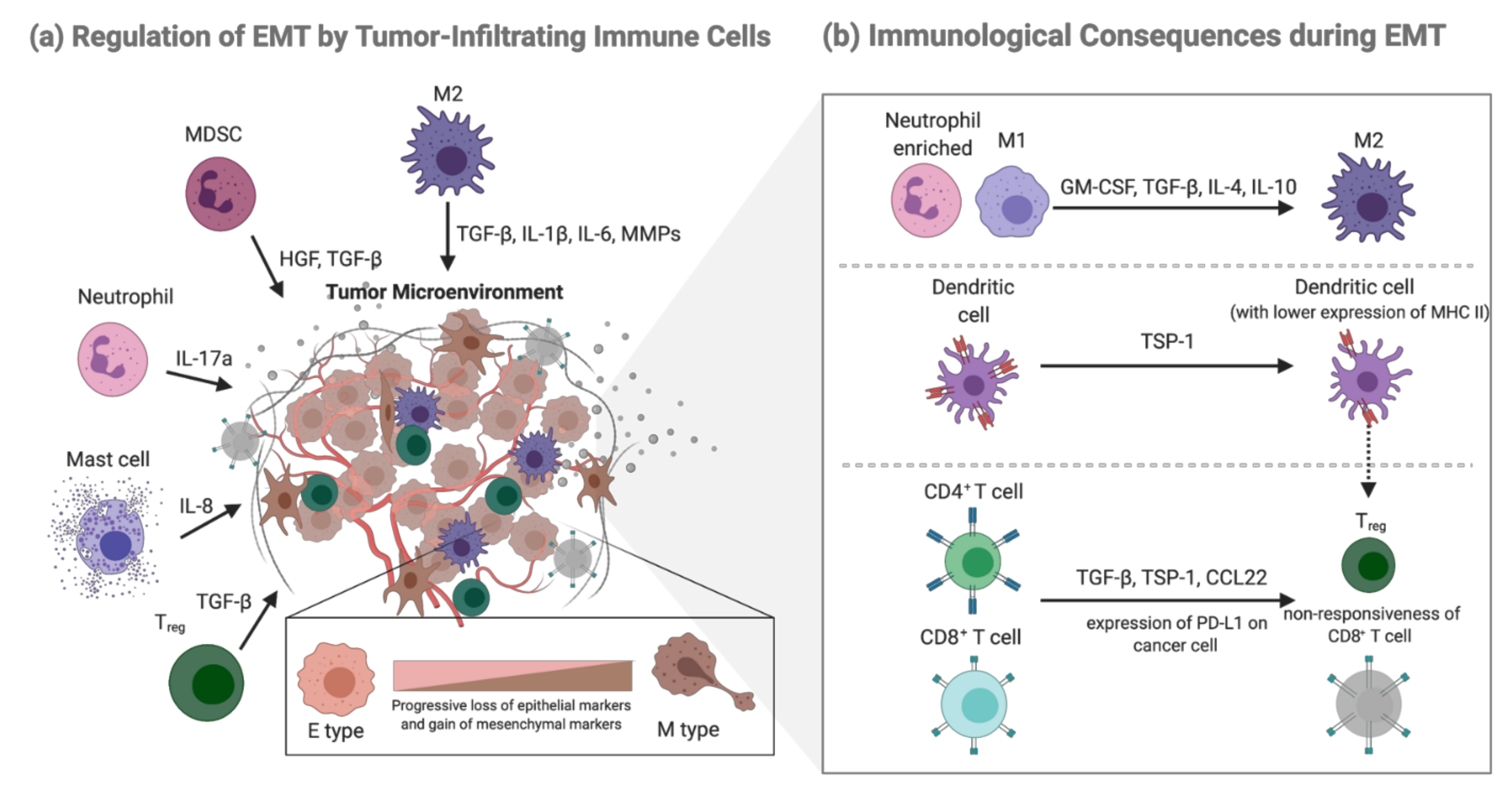 Ijms 22 09878 g001 550