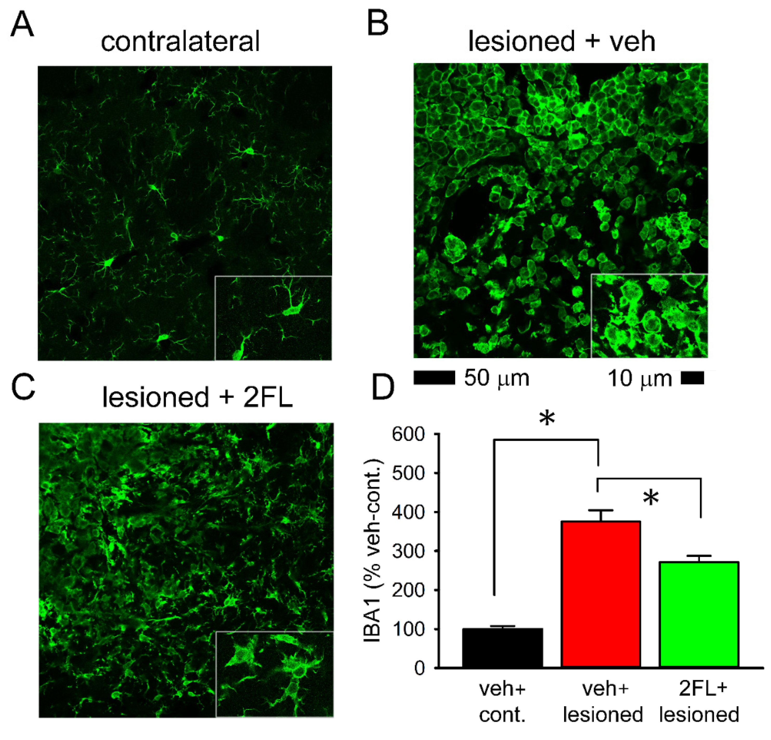 Ijms 22 09881 g003 550