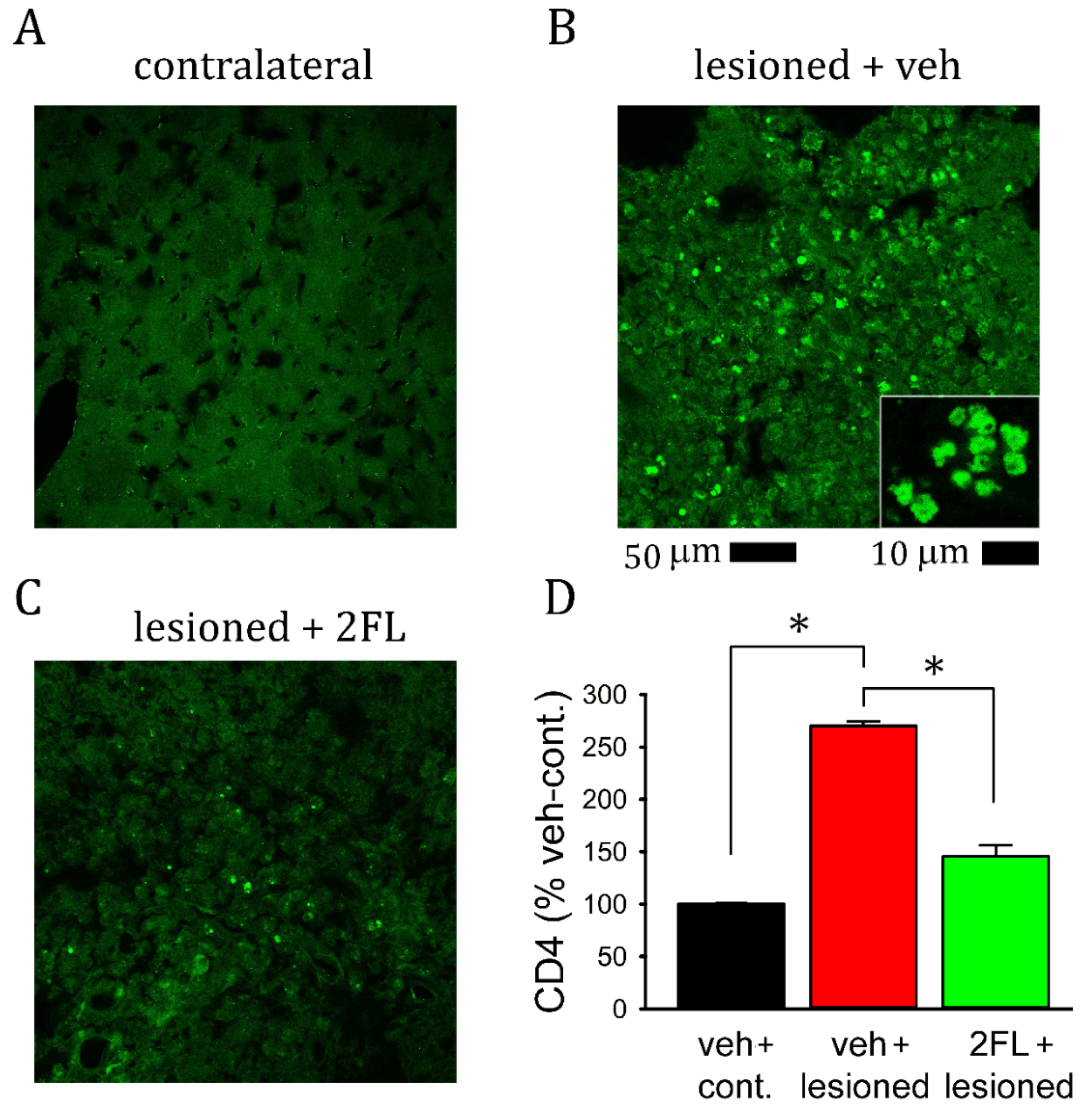 Ijms 22 09881 g004 550