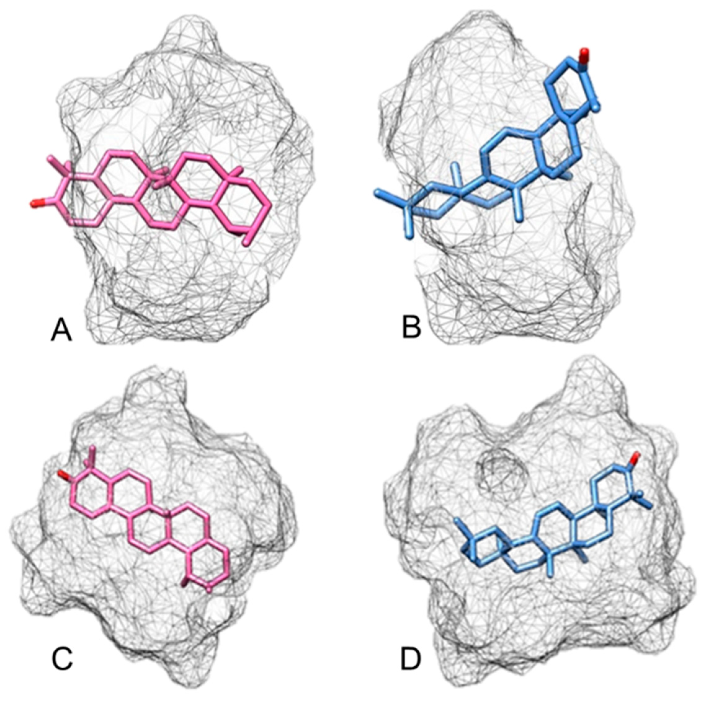 Ijms 22 09882 g003 550