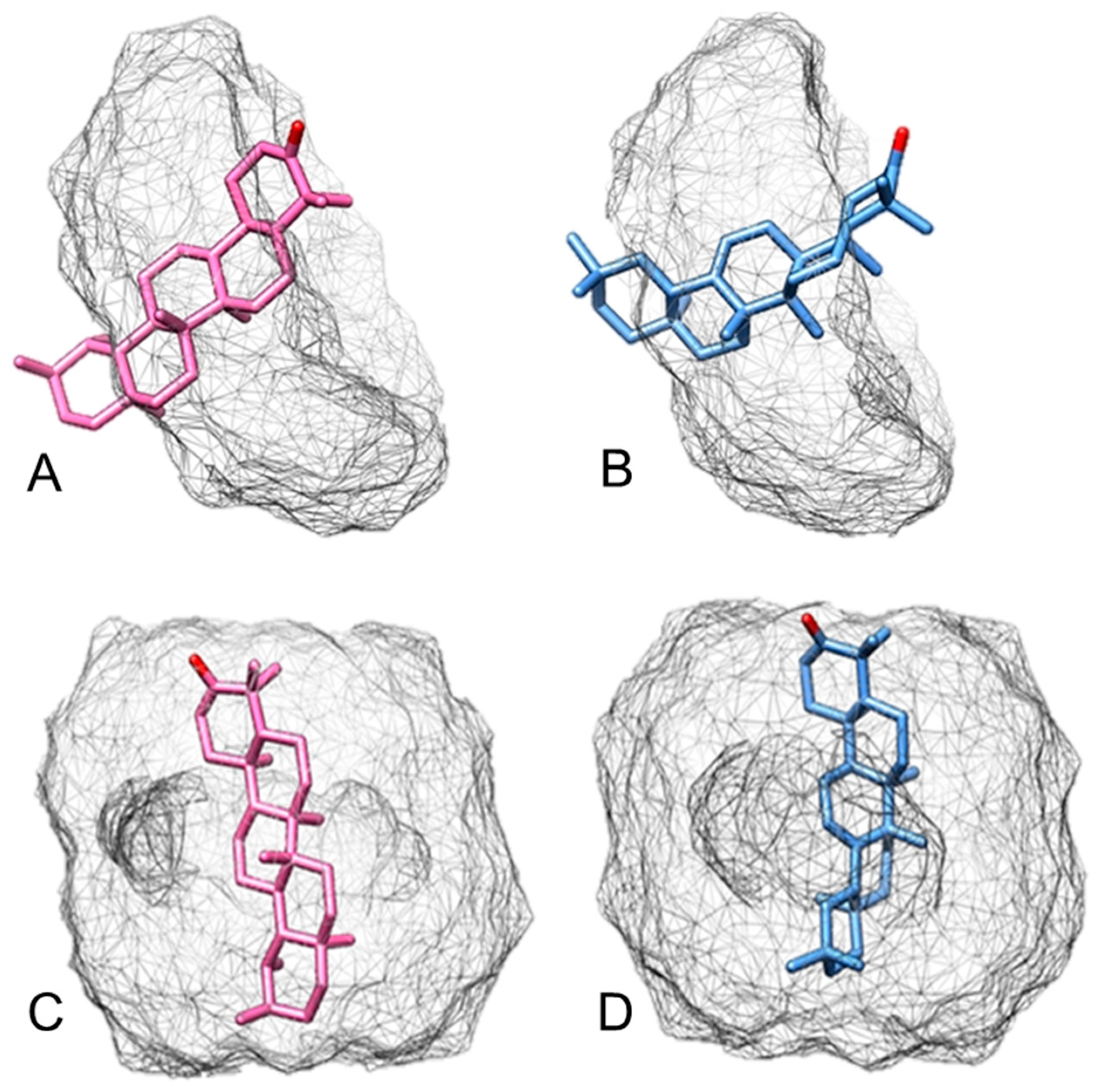 Ijms 22 09882 g004 550