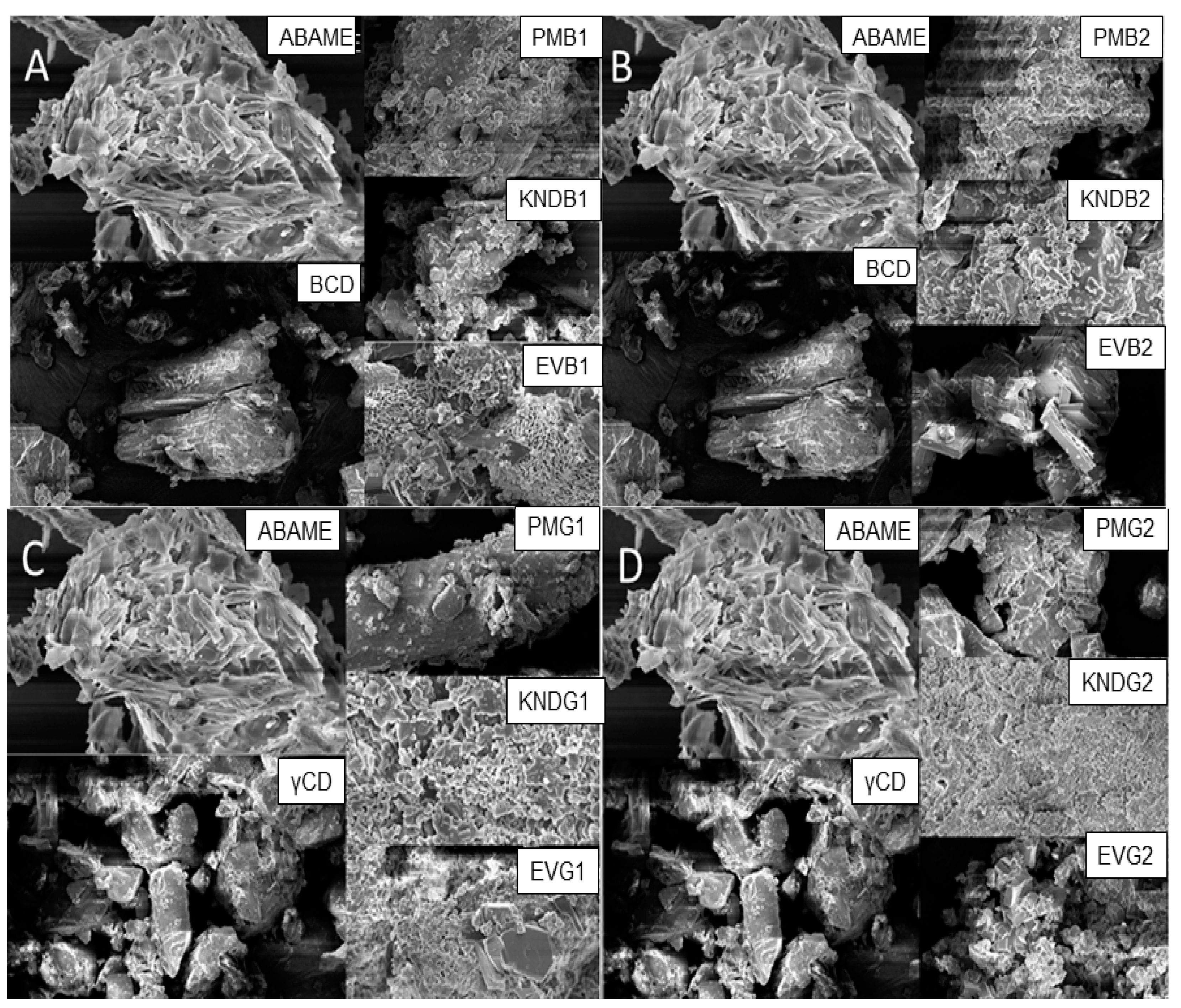 Ijms 22 09882 g007 550