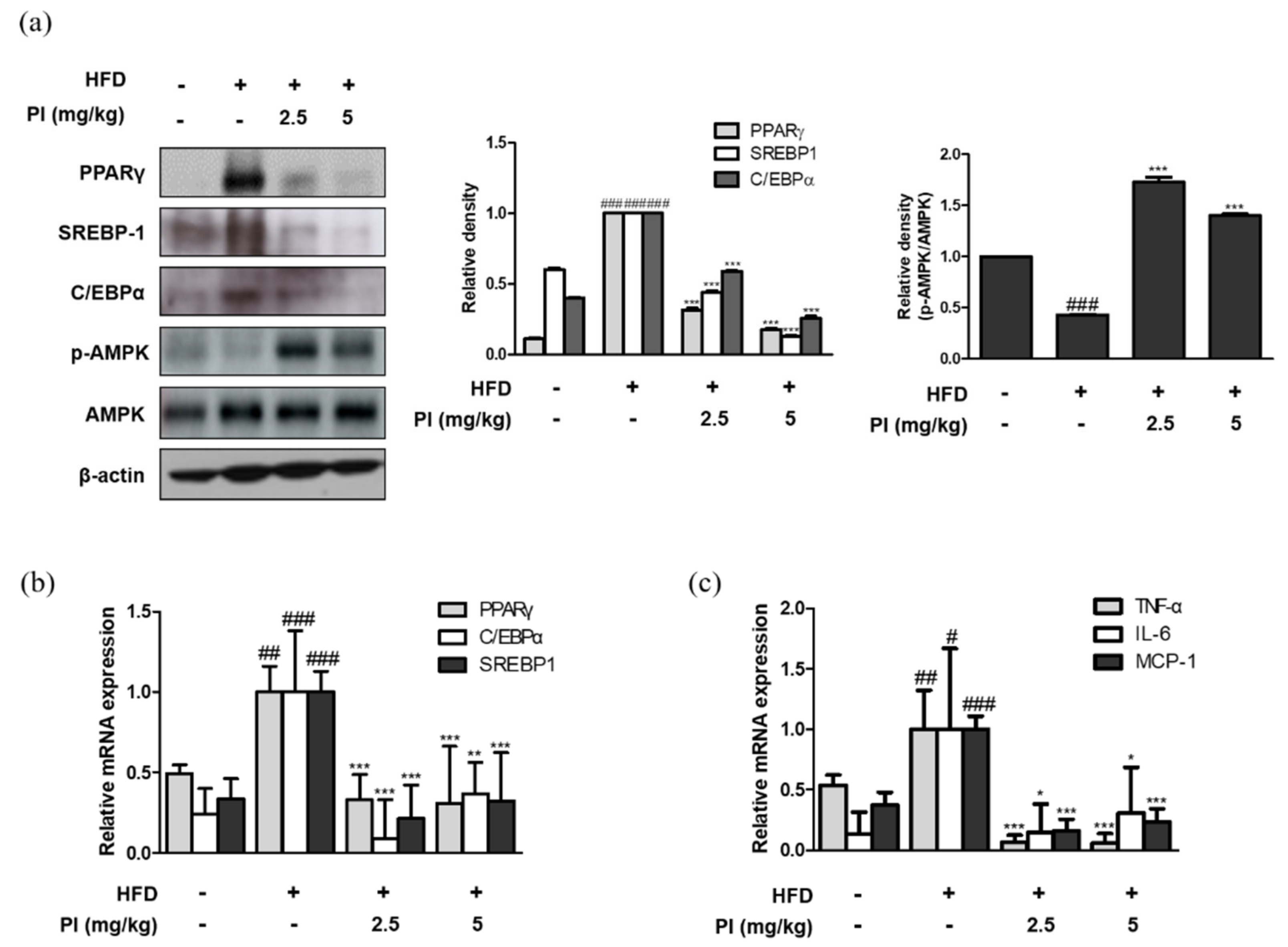 Ijms 22 09885 g003 550