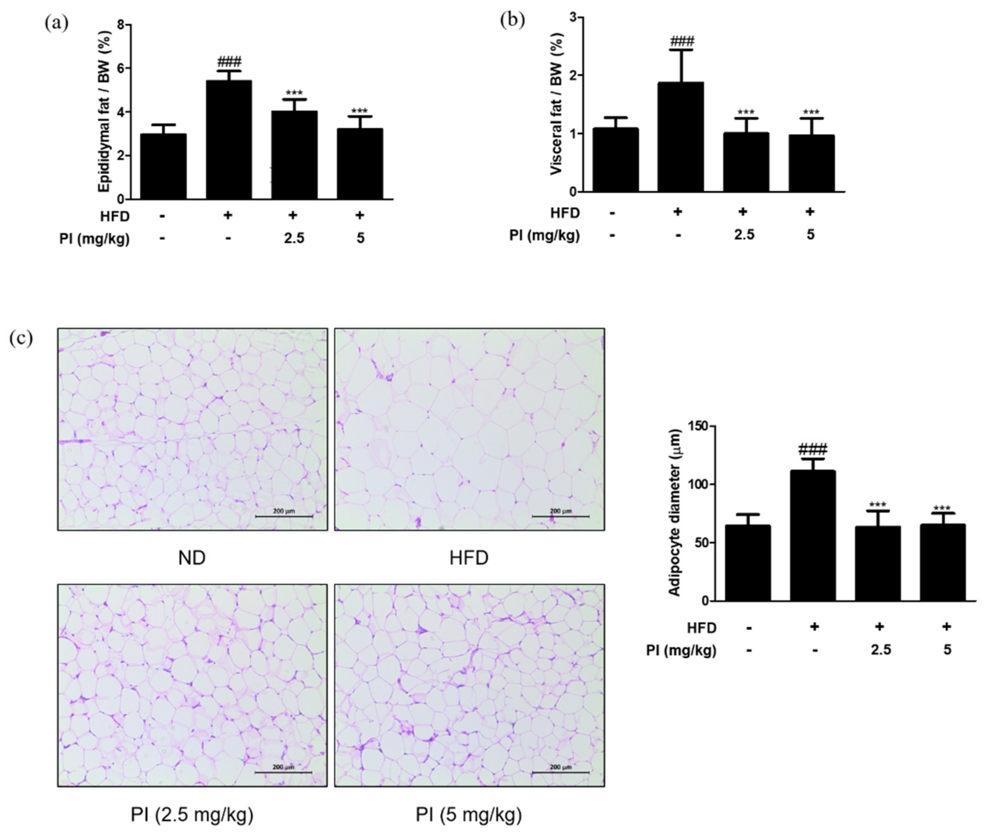 Ijms 22 09885 g004 550