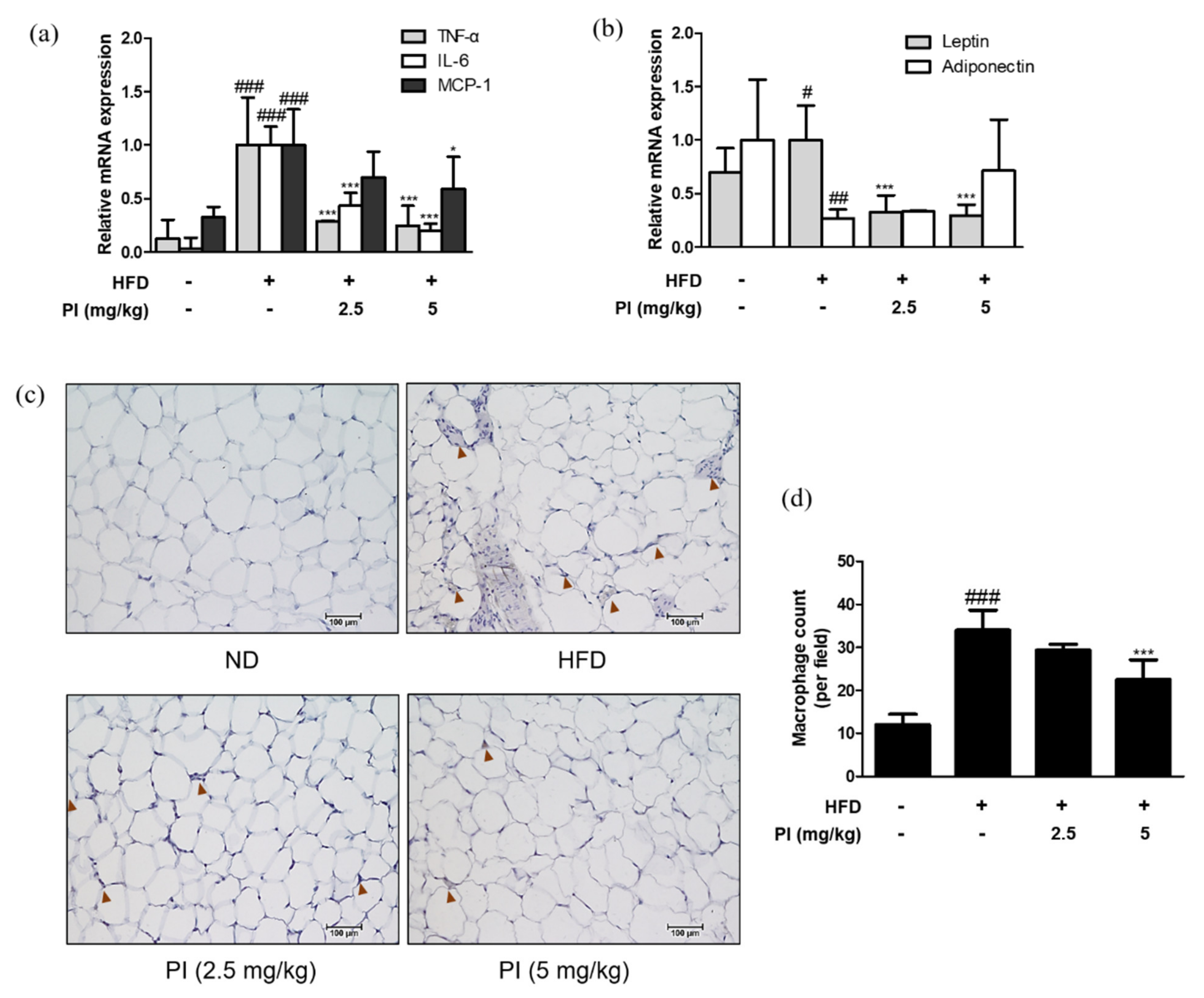 Ijms 22 09885 g005 550