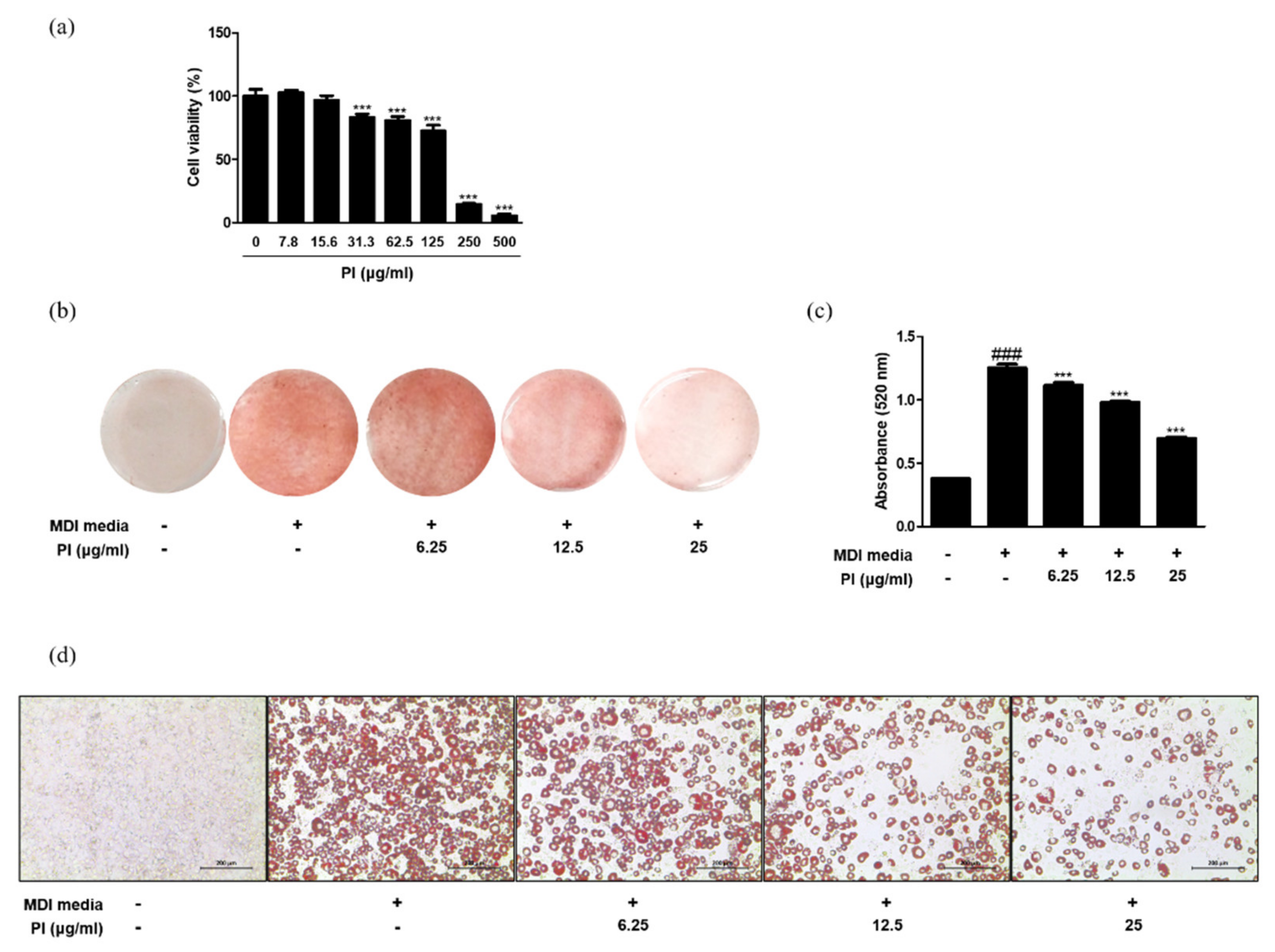 Ijms 22 09885 g006 550