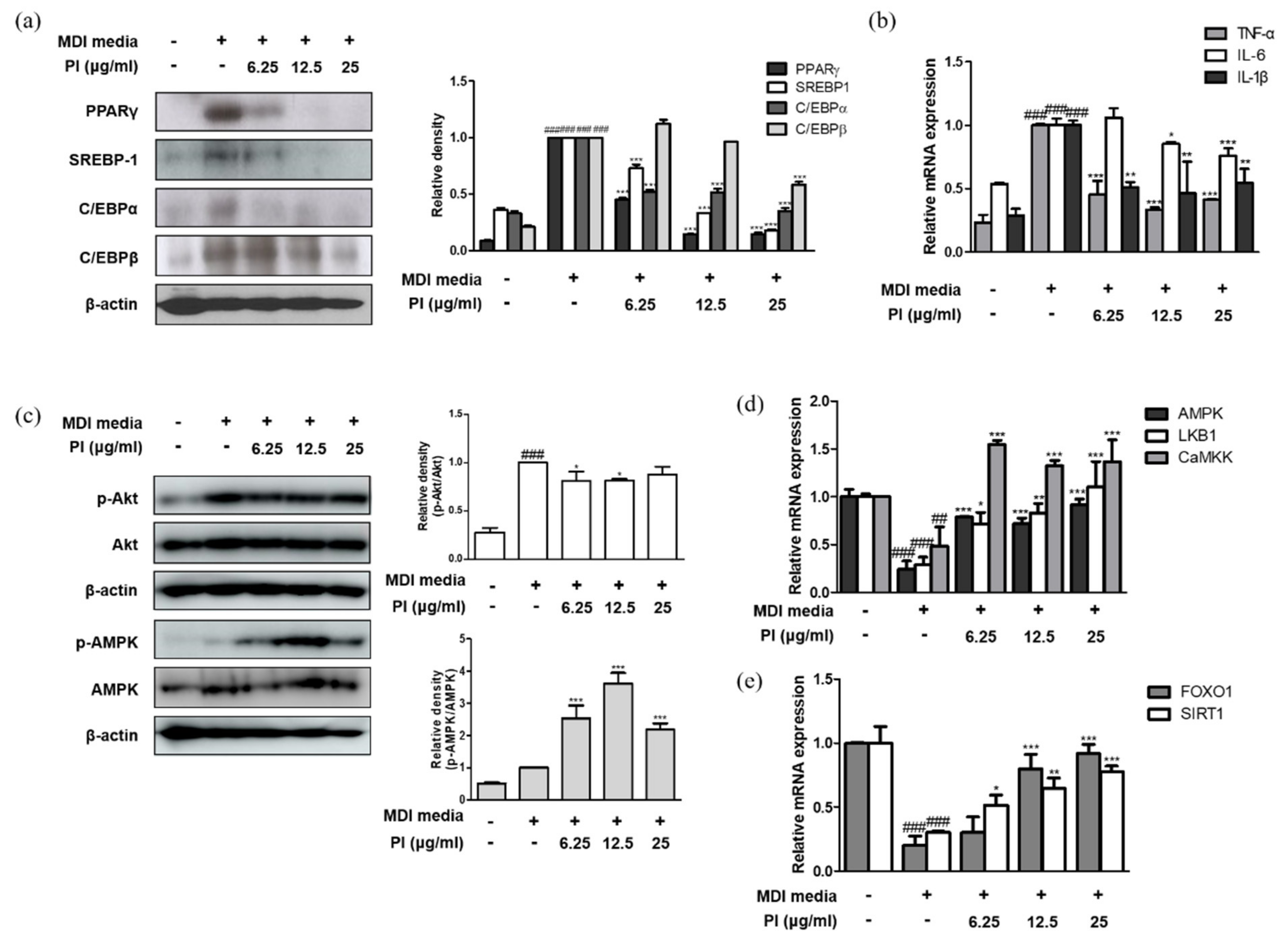 Ijms 22 09885 g007 550