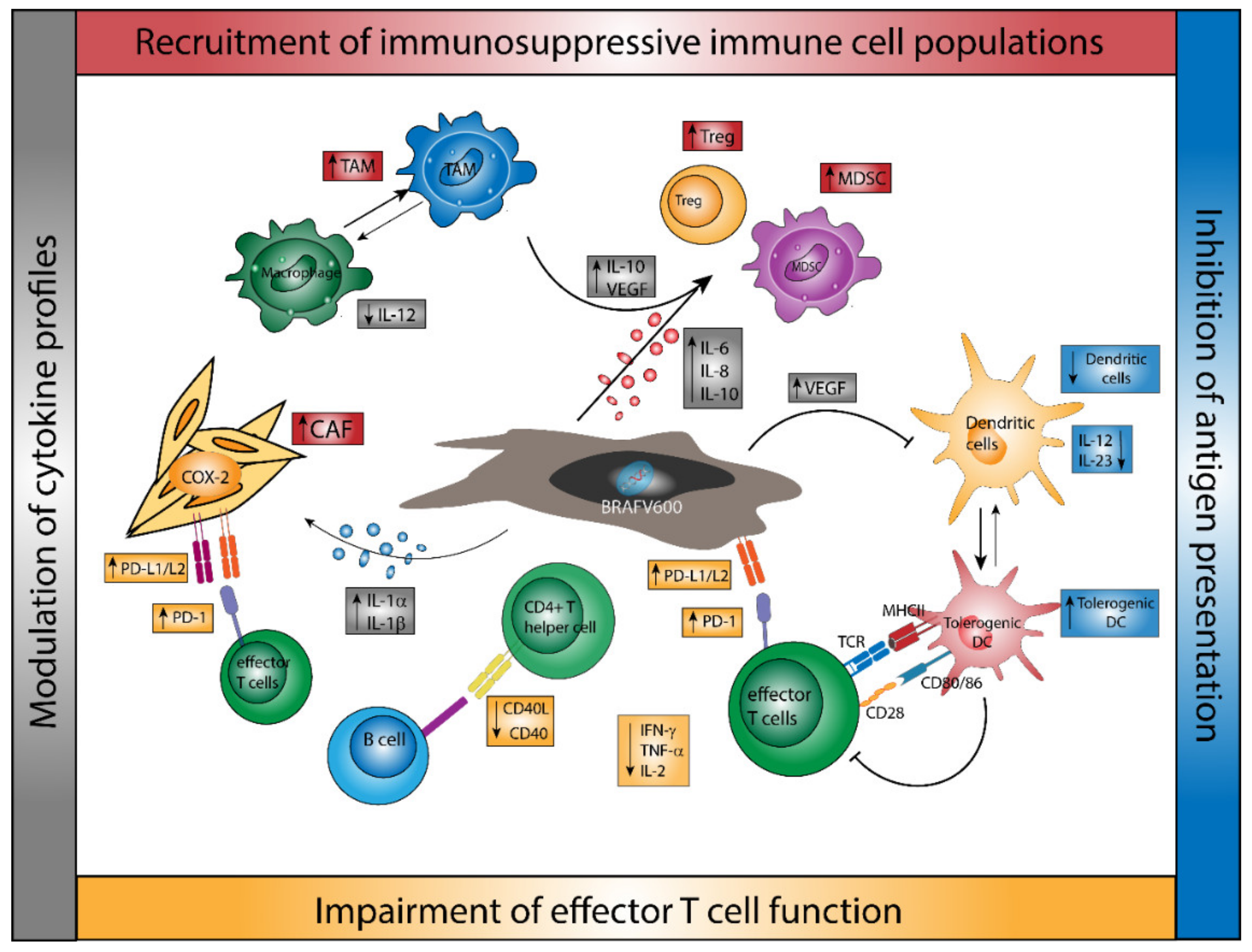 Ijms 22 09890 g001 550